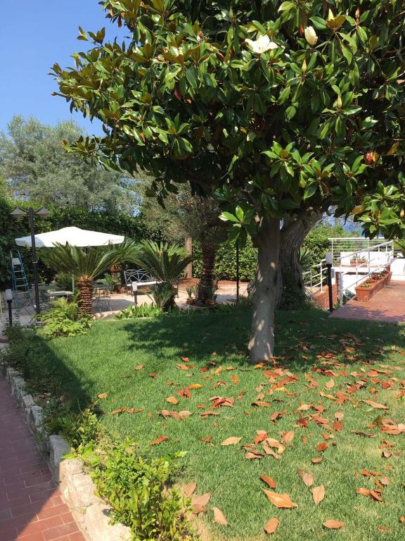 Apartment in Grottammare