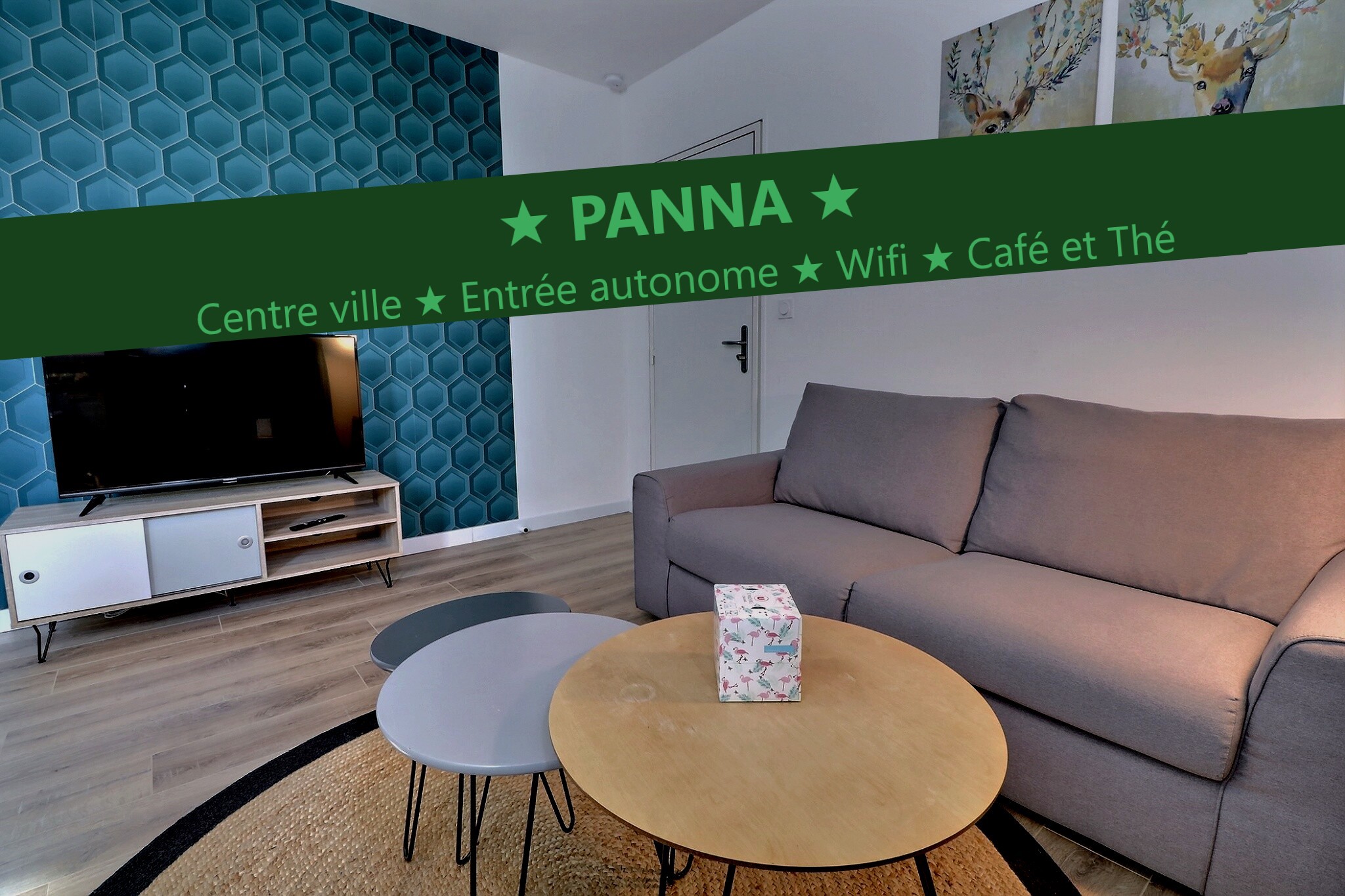 ★ Panna apartment ★ downtown VITRÉ