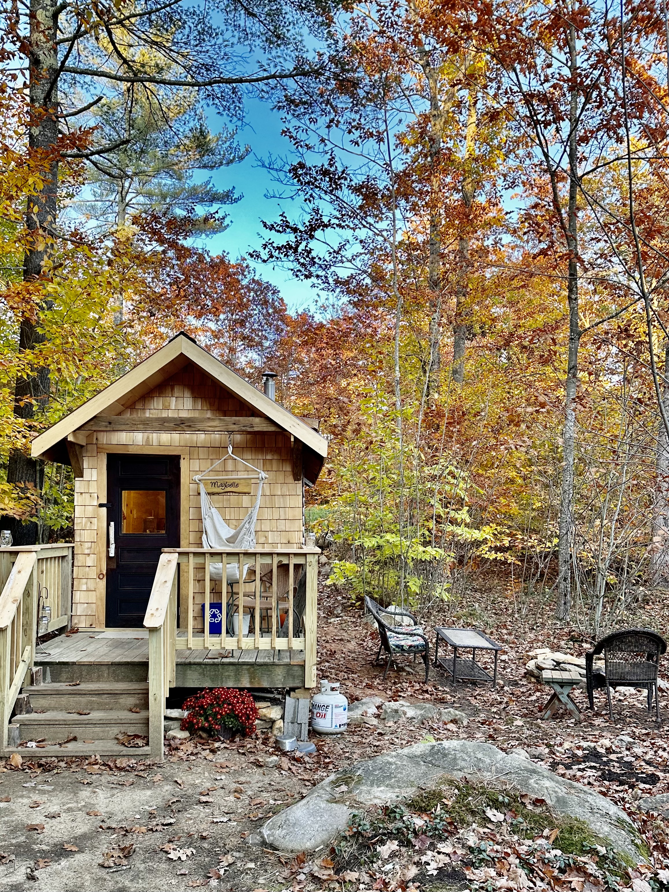 Tiny Cabin on 100 acres
