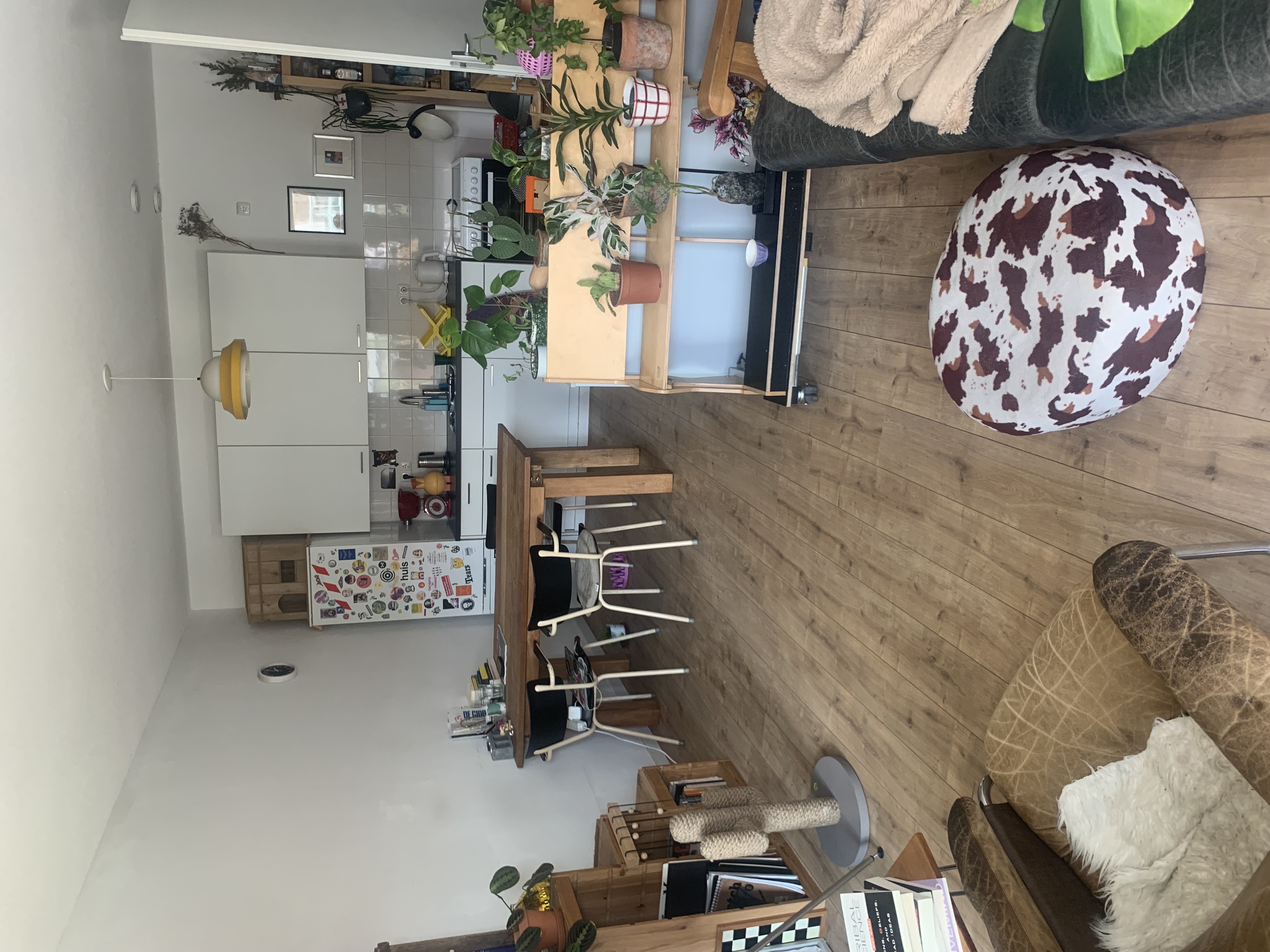 Zonnige 70m2 flat, Amsterdam-West met balkon & kat — Amsterdam stay