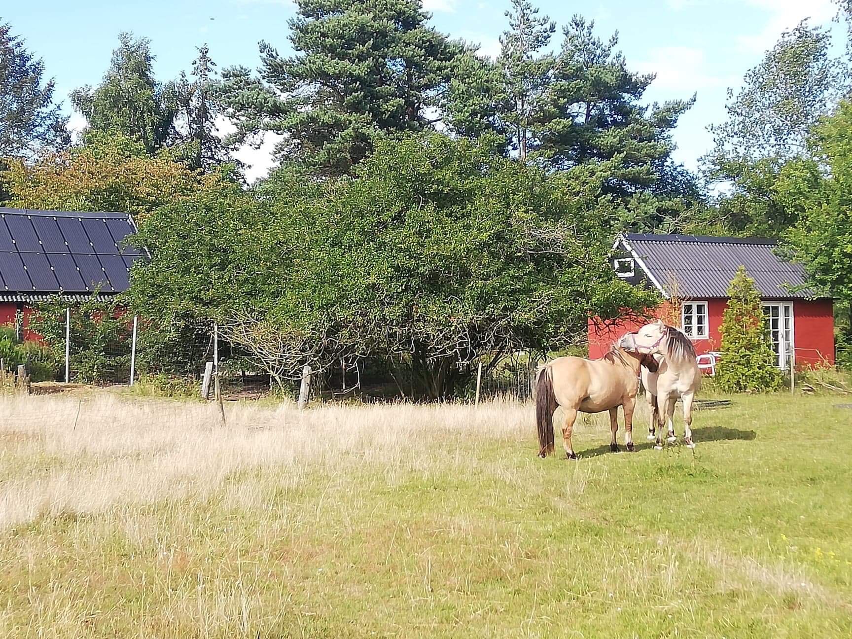 Well appointed Tiny-House close to nature and beach