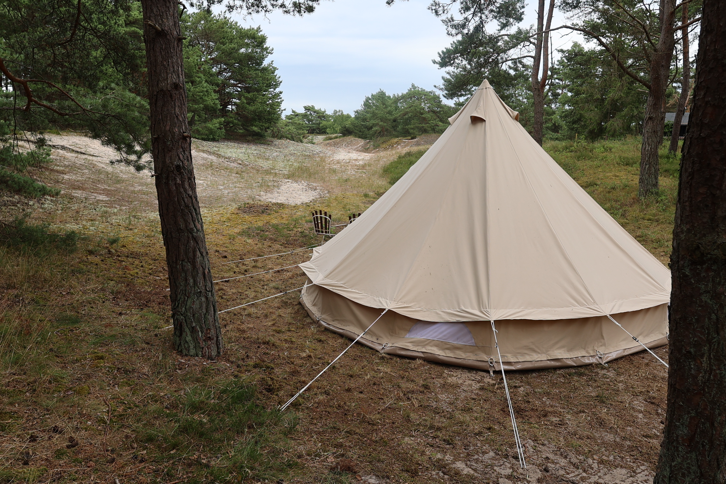 Glamping overlooking the dunes