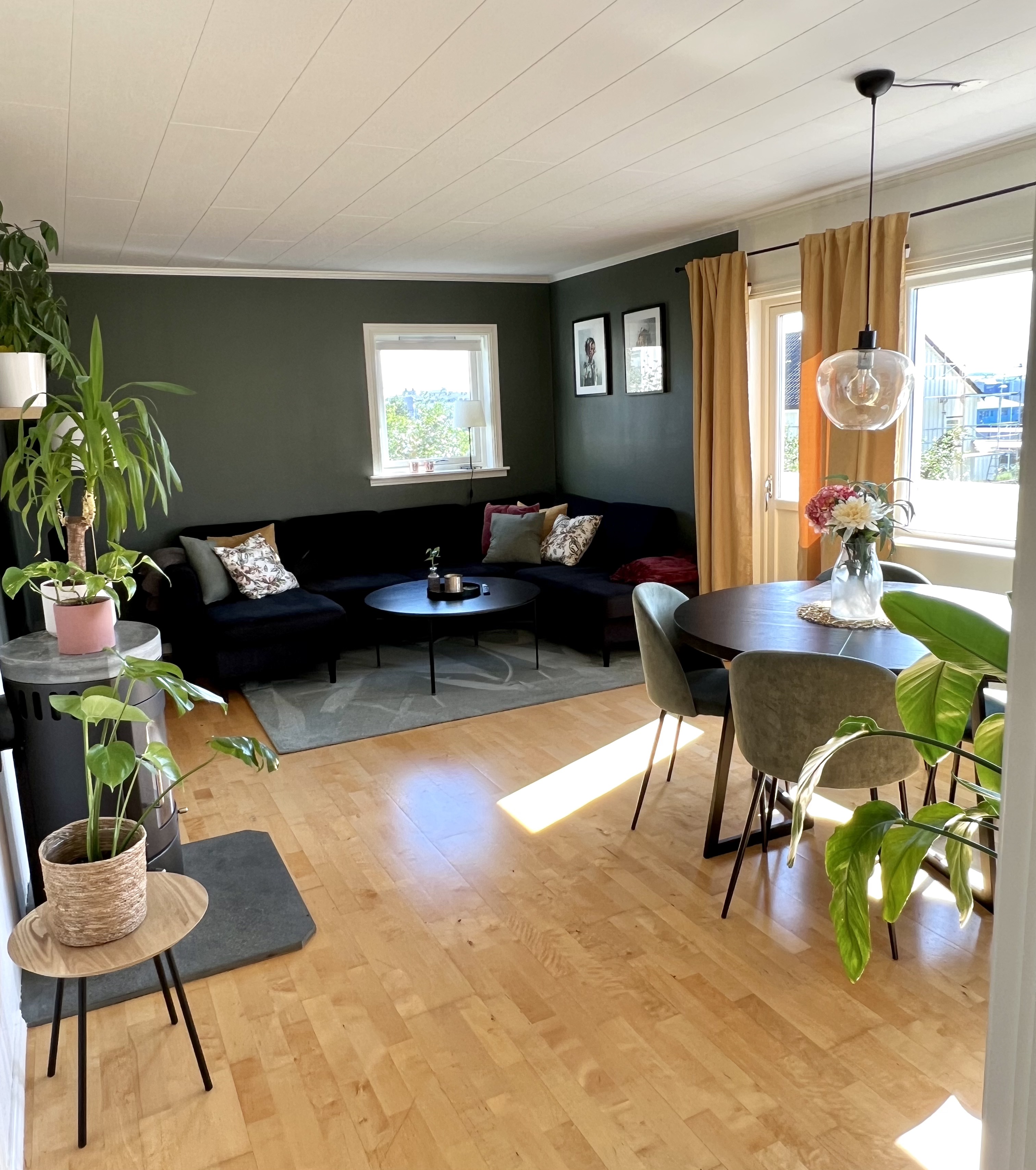 Cozy apartment near hiking areas, beach and town