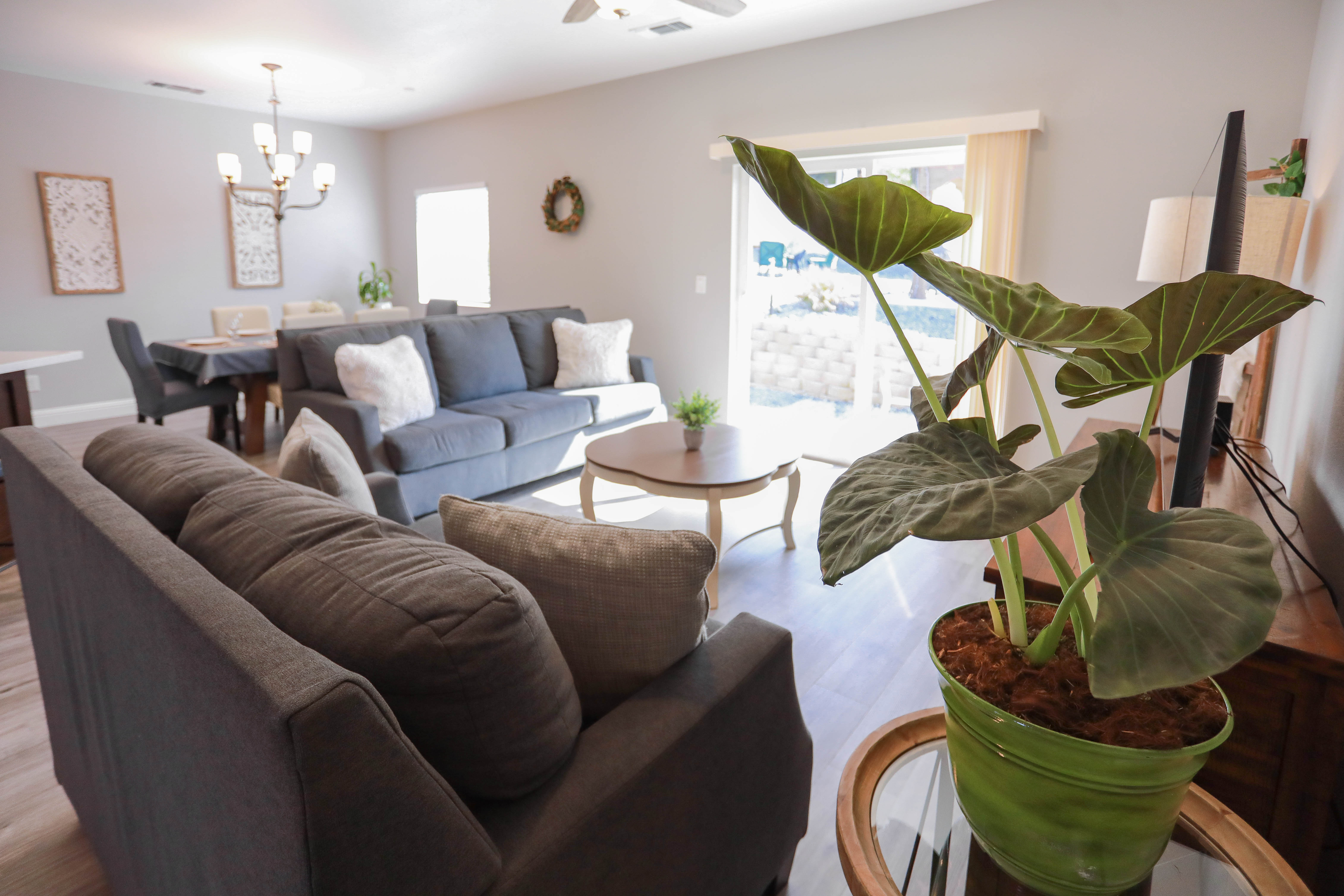 BRAND NEW Casita on Foothill with a View