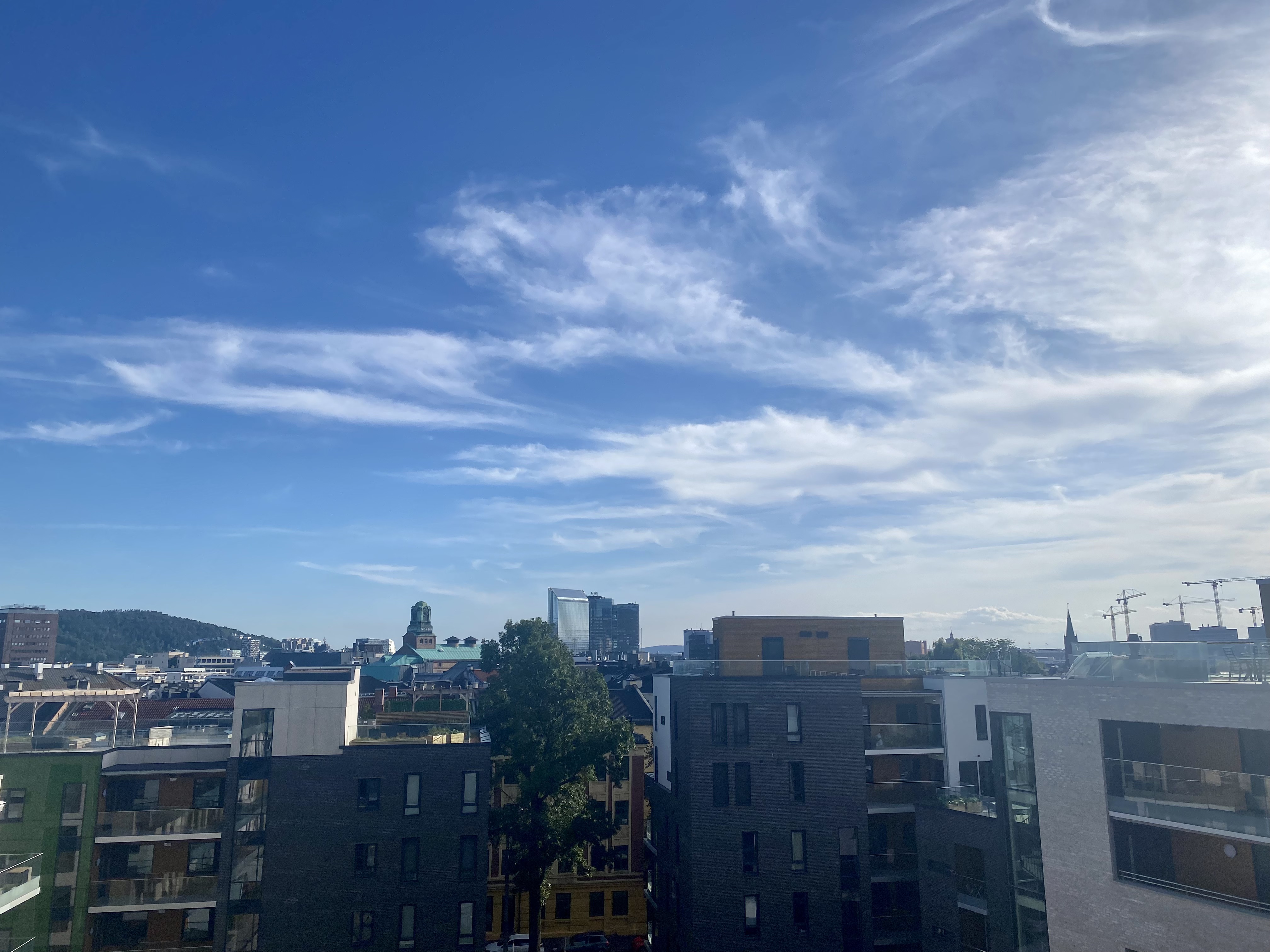 Cozy apartment central in Oslo Condominiums for Rent in Grünerløkka