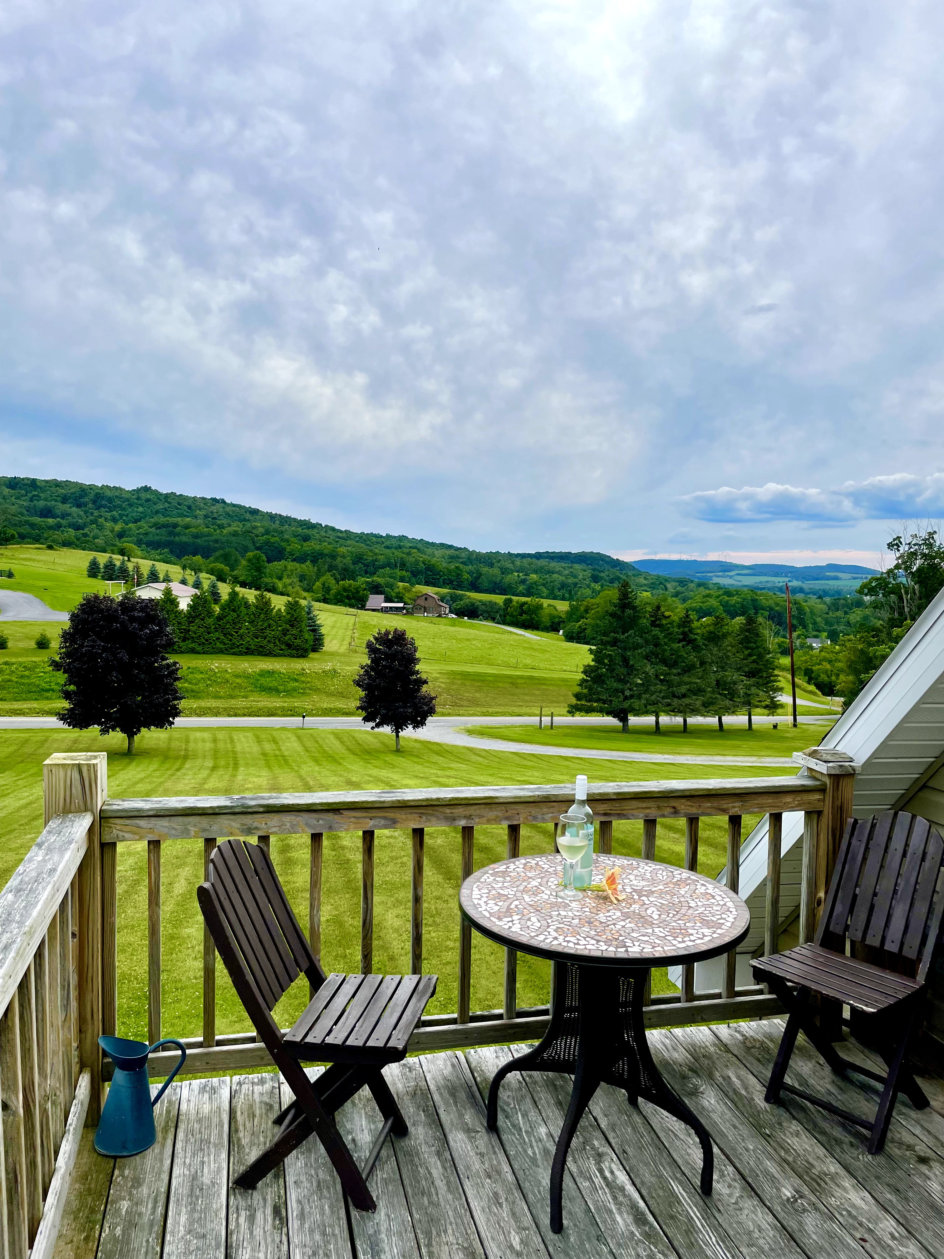 *Apartment with a View* near Colgate and Hamilton