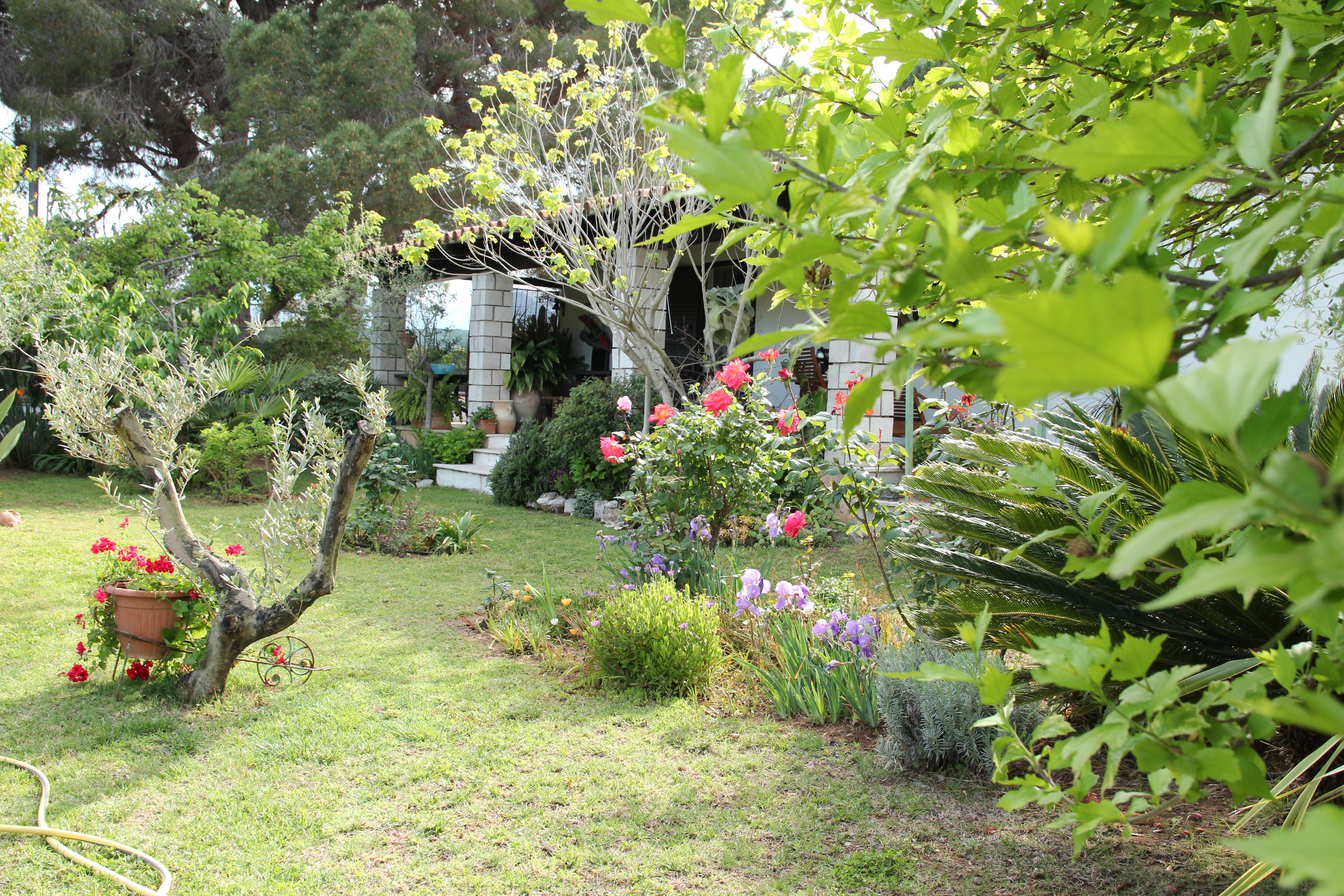 Countryside villa by the sea
