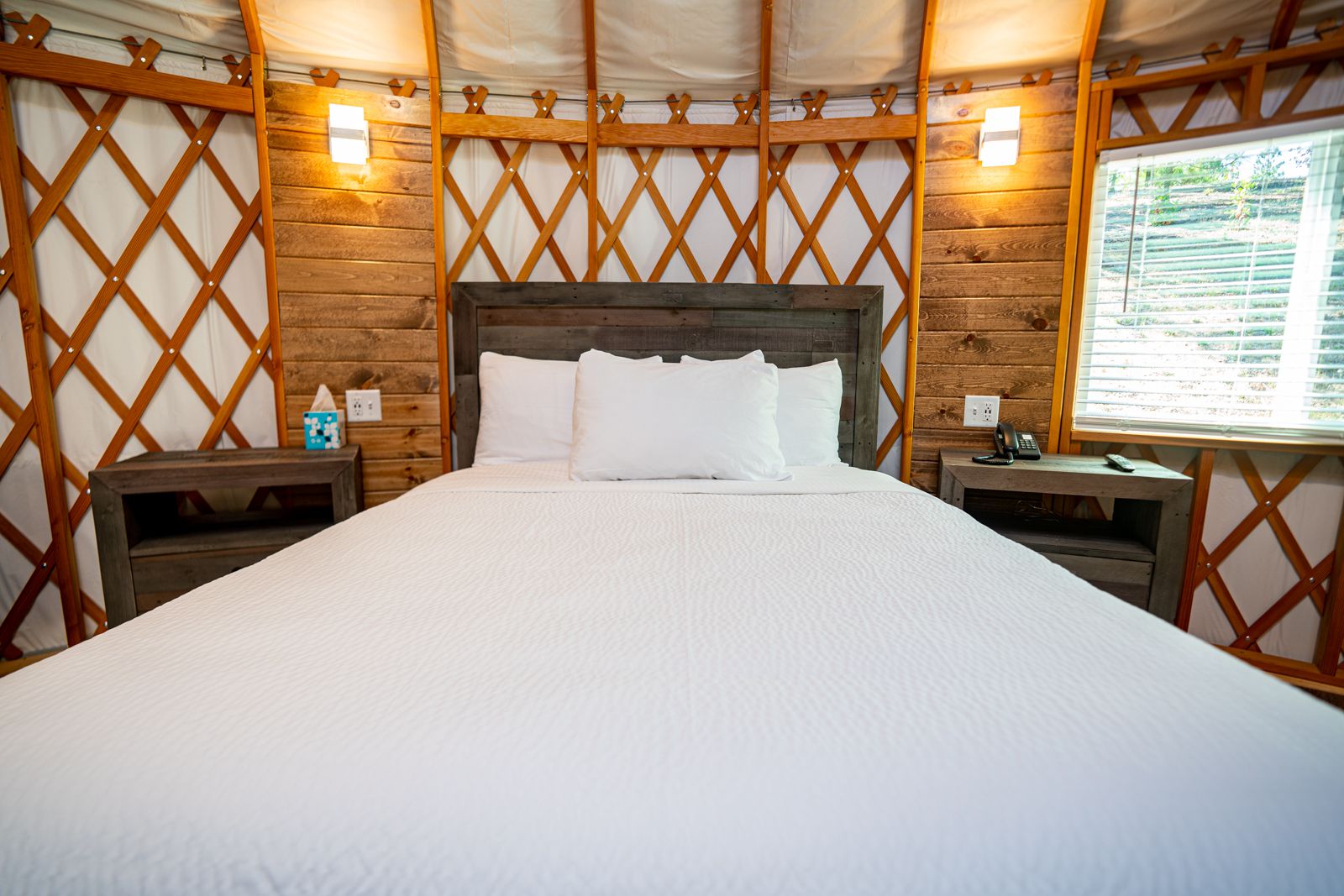 Seven Feathers Yurt (1 Queen Bed & 1 Sofa Sleeper) Campsites for Rent in Canyonville, Oregon