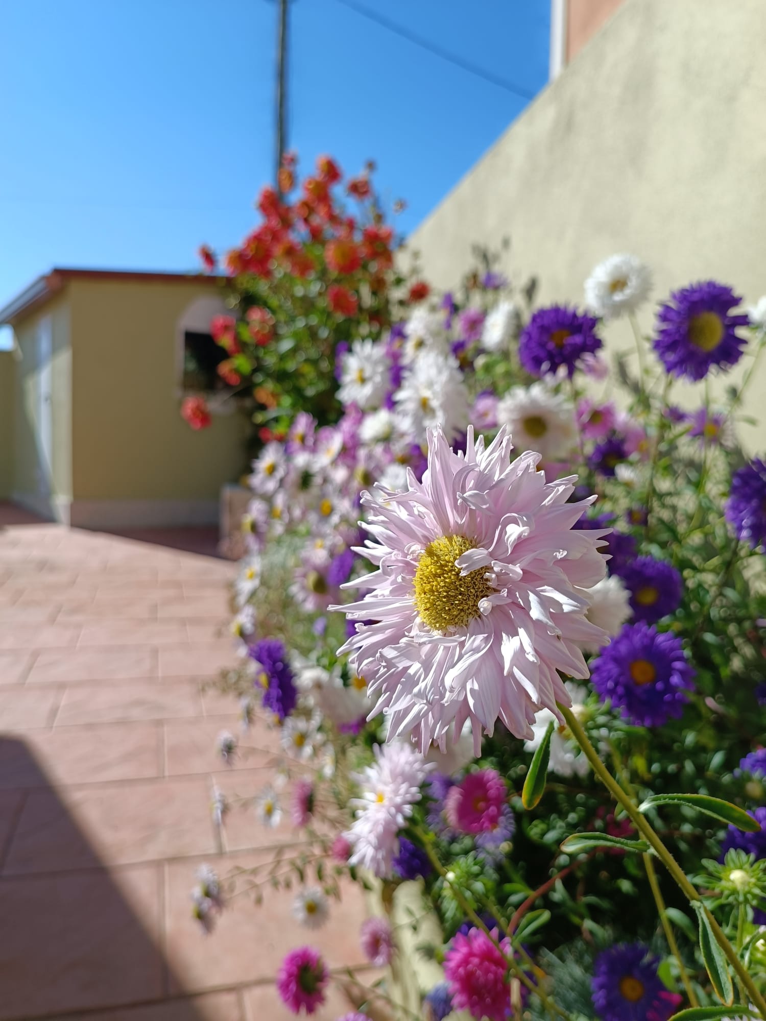 Beautiful casita 10 minutes from the beach.