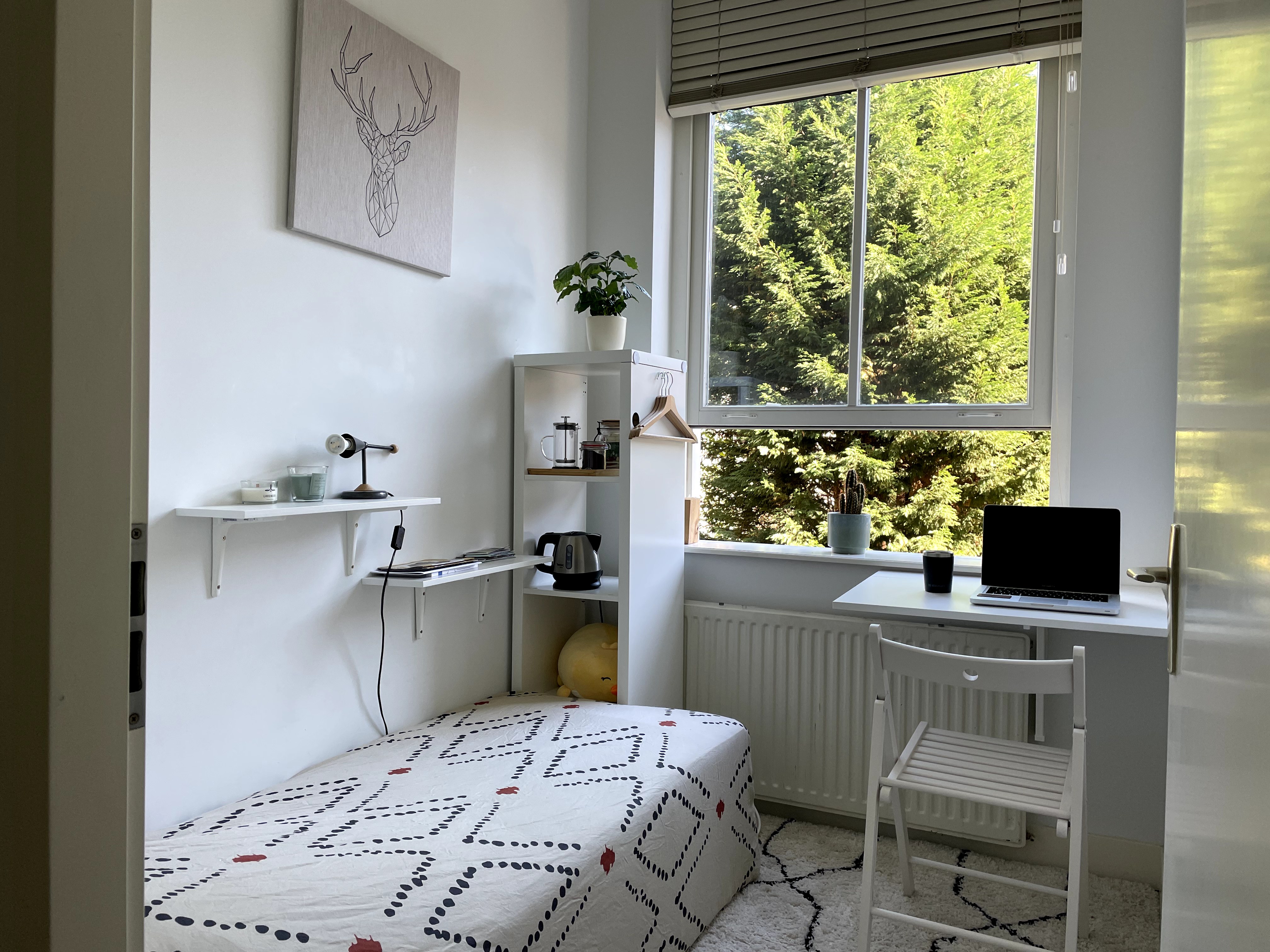 Lovely private room in the heart of The Hague — The Hague stay