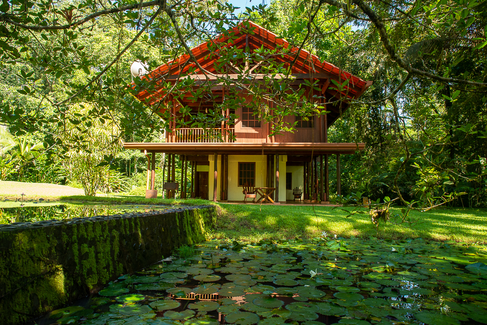 Casa Ranas - Osa, 32-acres, wildlife photography