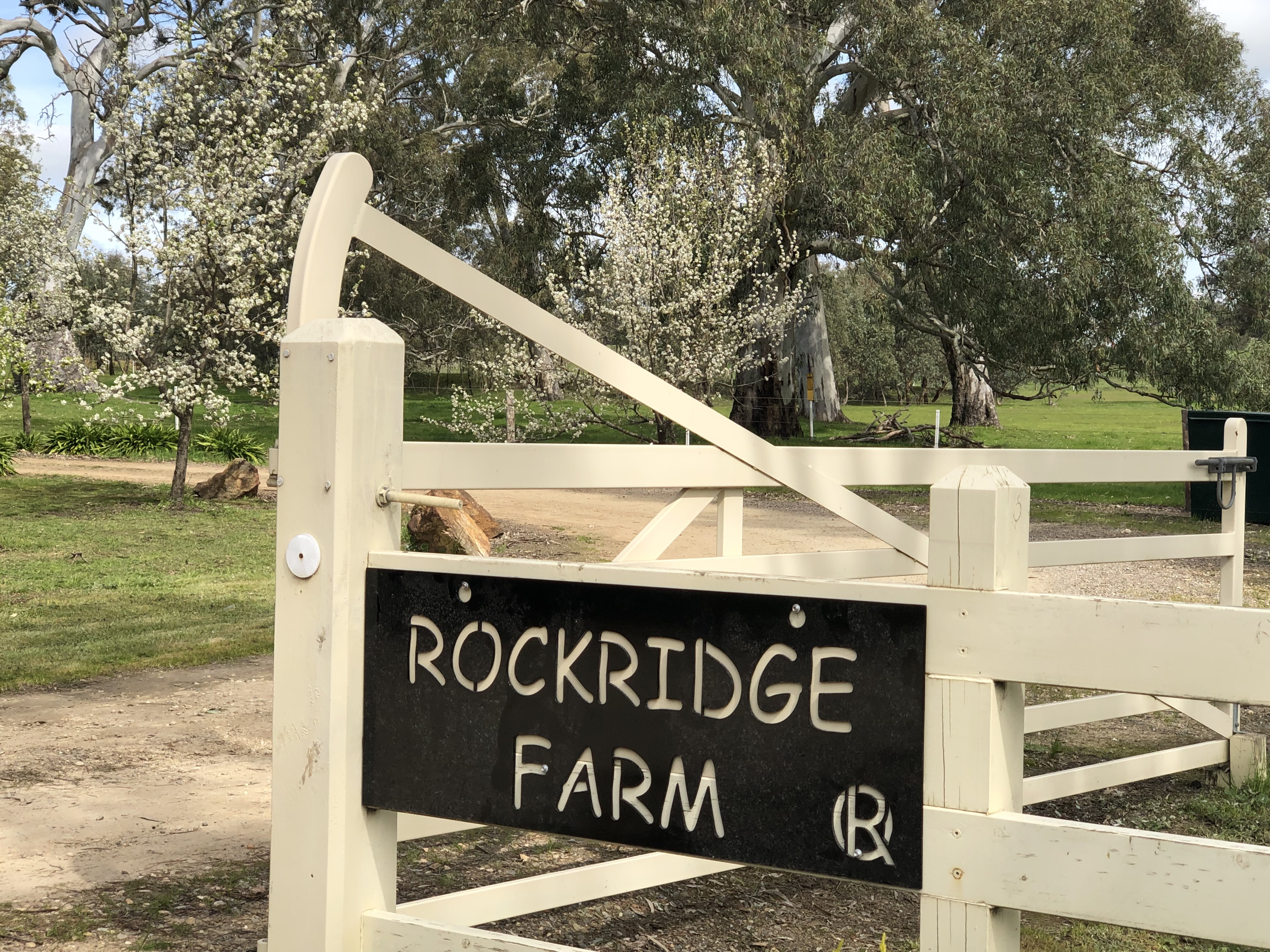 Rockridge, apartment pet friendly rural setting in Mount Pleasant, Barossa Valley