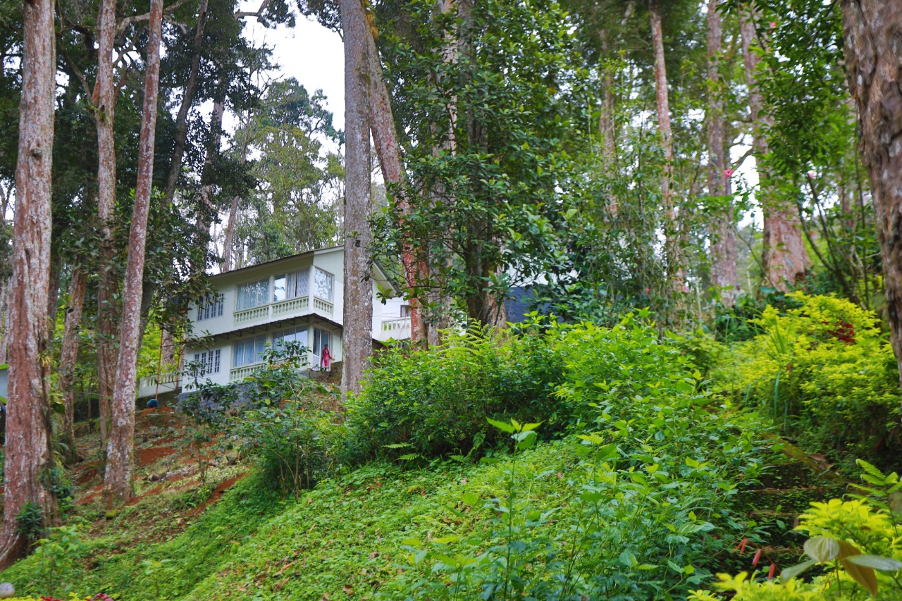2 Bedroom Cottage in Munnar - Cottages for Rent in Munnar, Kerala