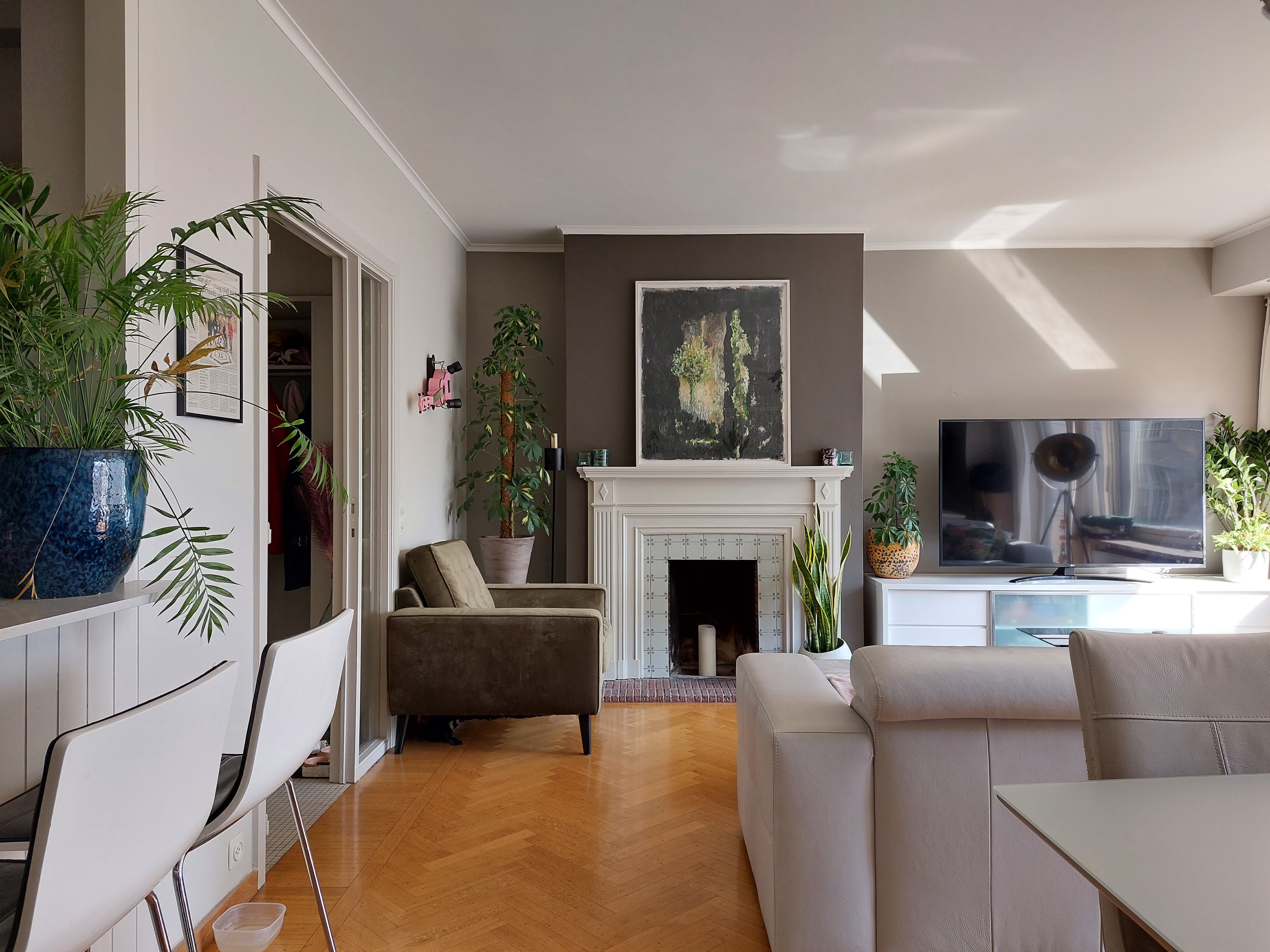 Apartment at the center of Kortrijk, with two cats