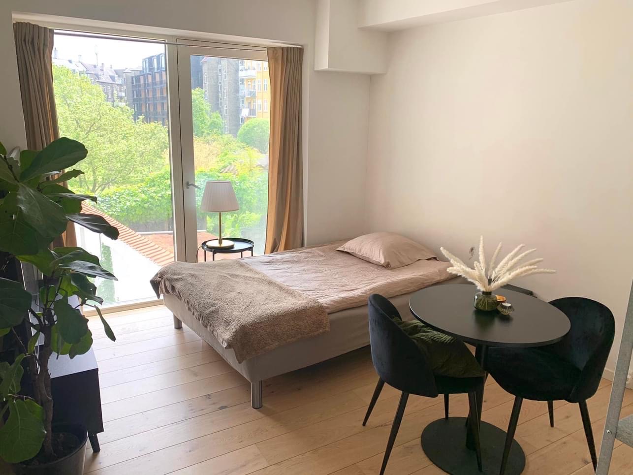 Lovely studio in Copenhagen city center Apartments for Rent in
