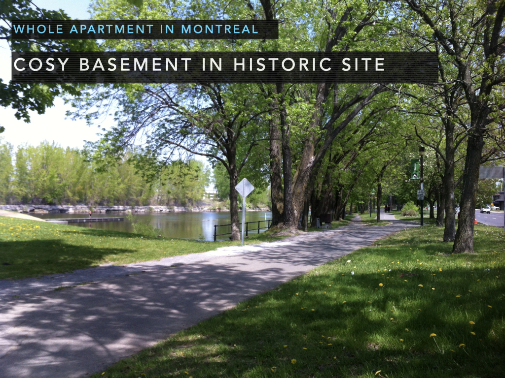 Cozy basement in historic site