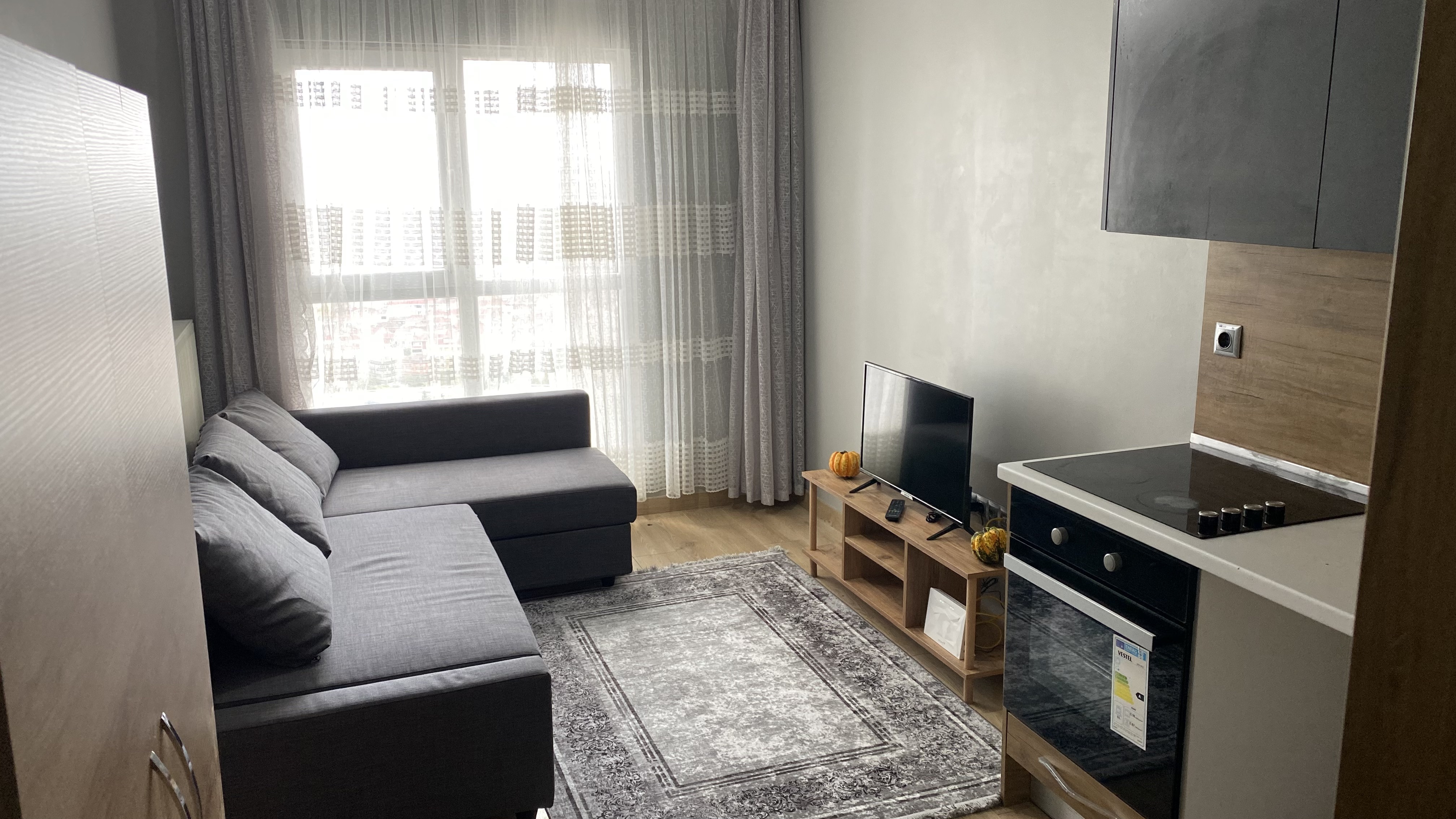 Luxury Apartment in a Complex
