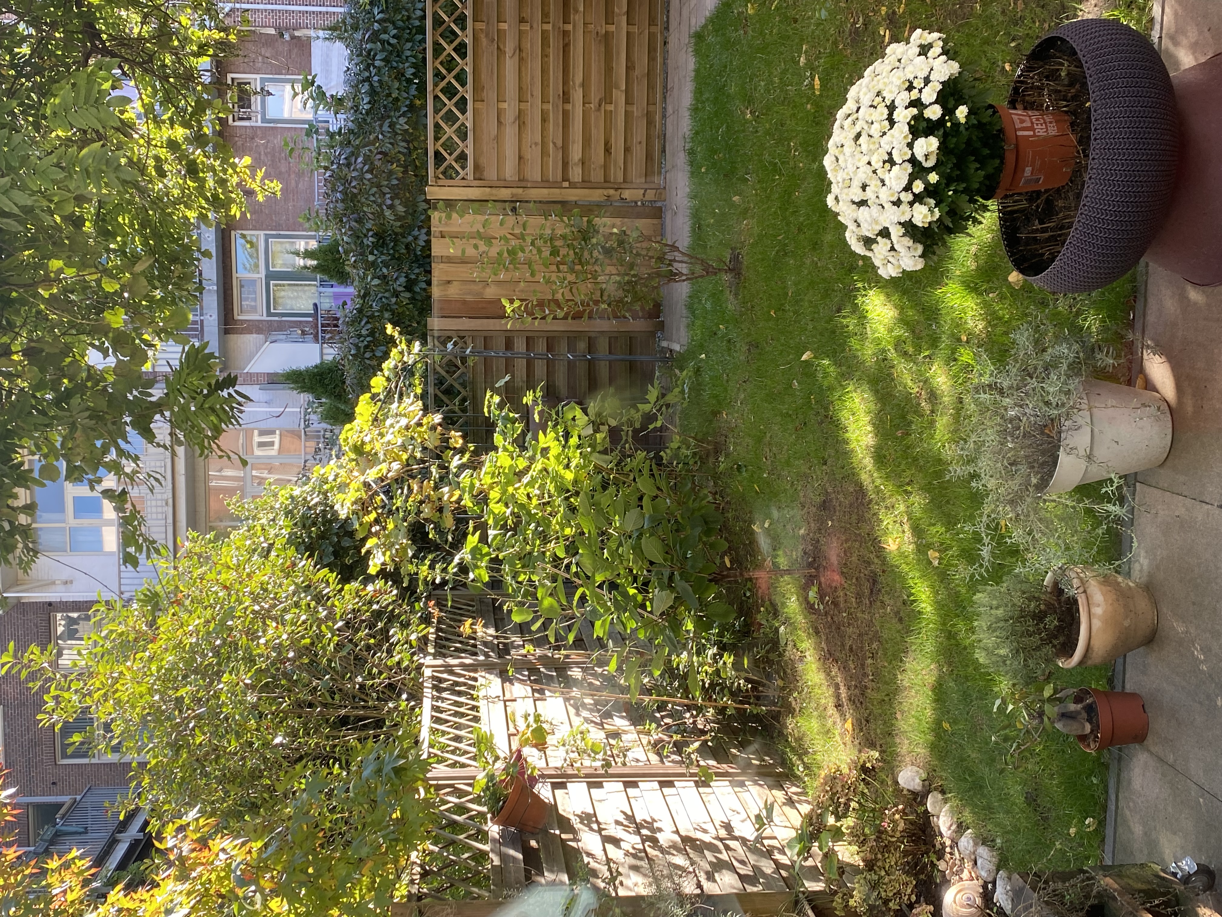Nette, mooi woning in Amsterdam. โ Amsterdam stay