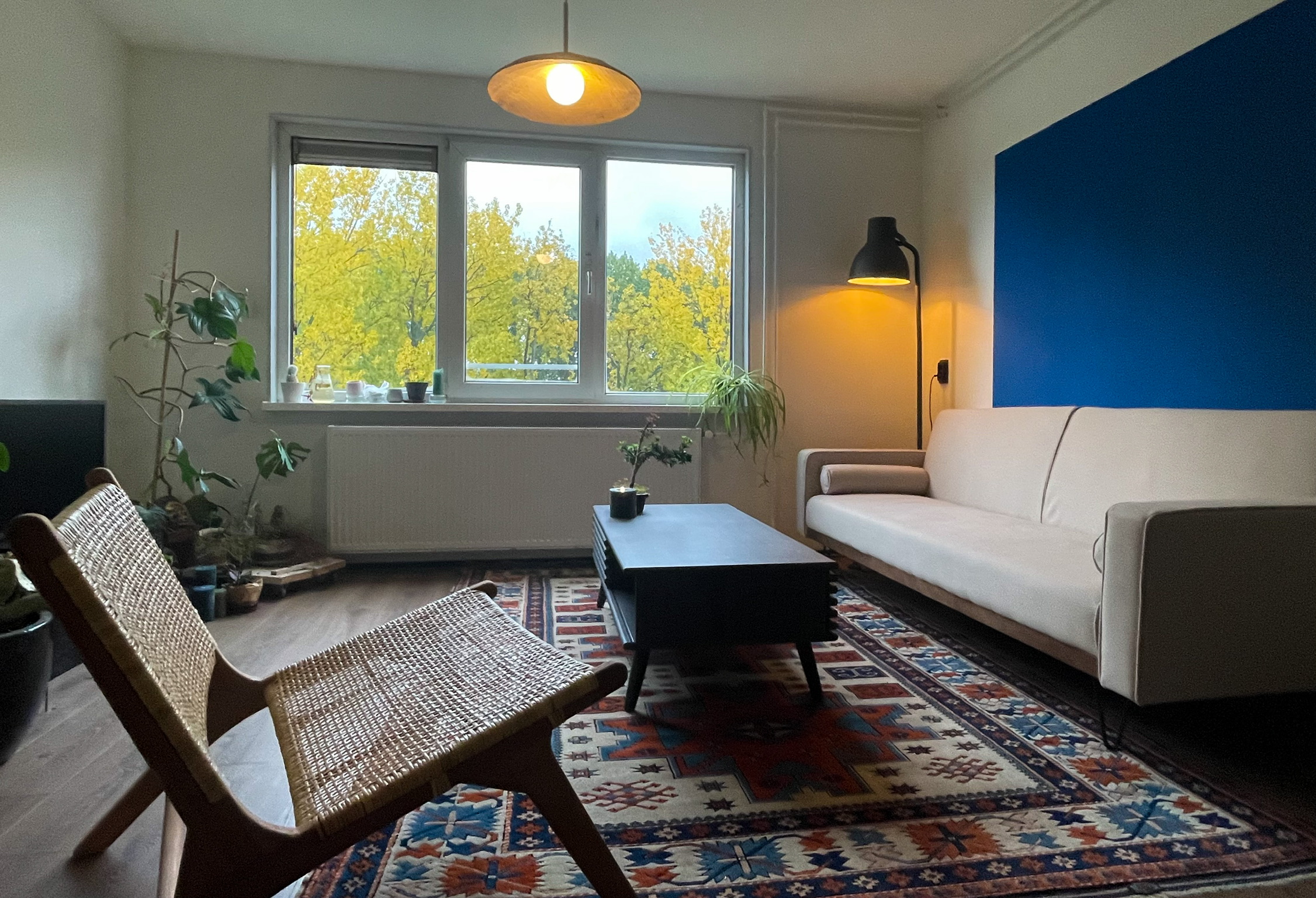 Secluded & cozy apartment minutes from the centre! — Amsterdam stay
