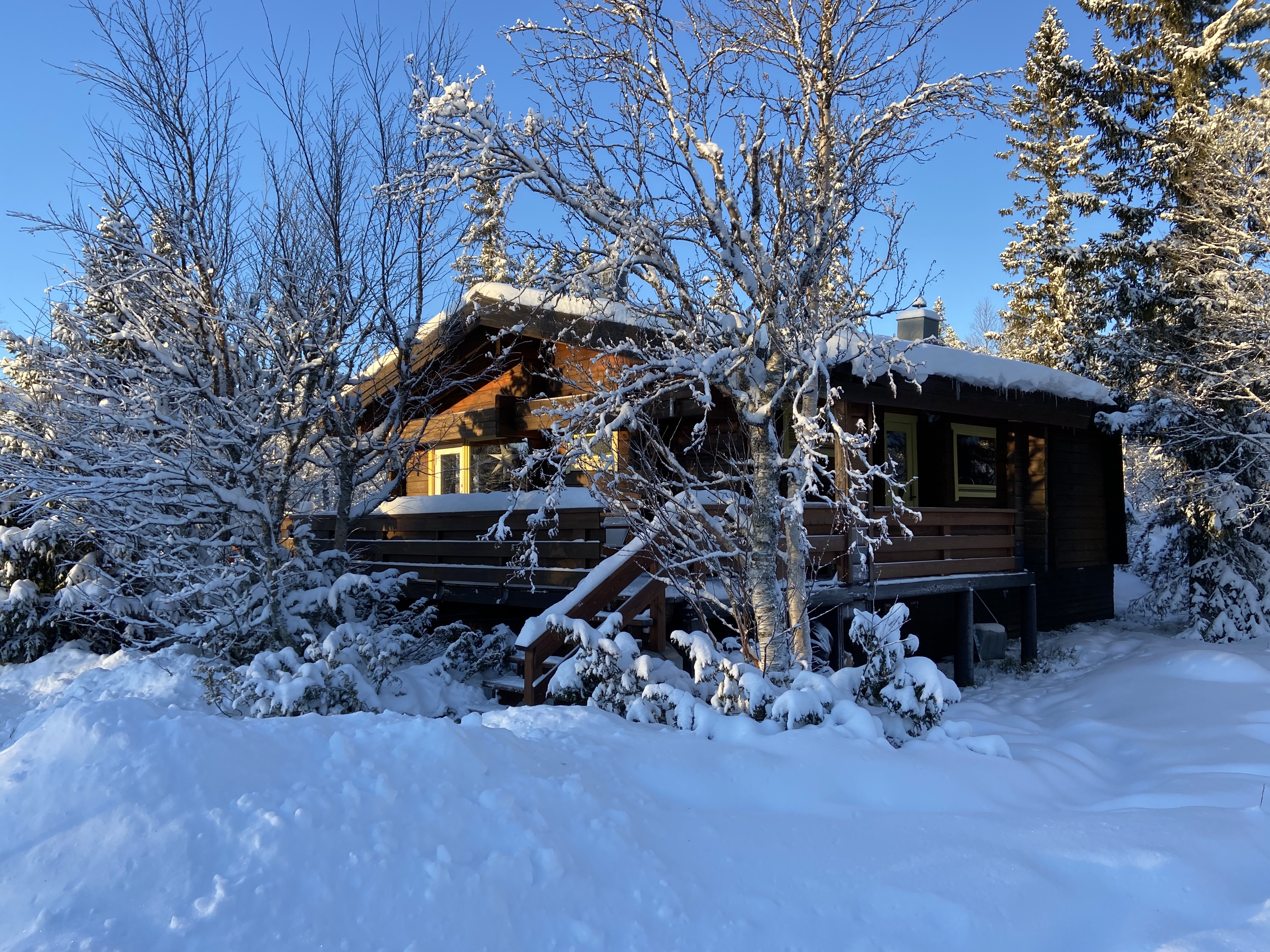 Cozy mountain cabin with good location and fireplace