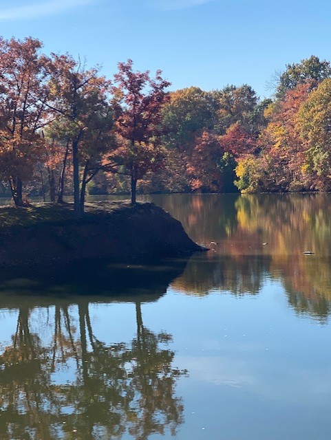 Glenwood Lake Retreat
