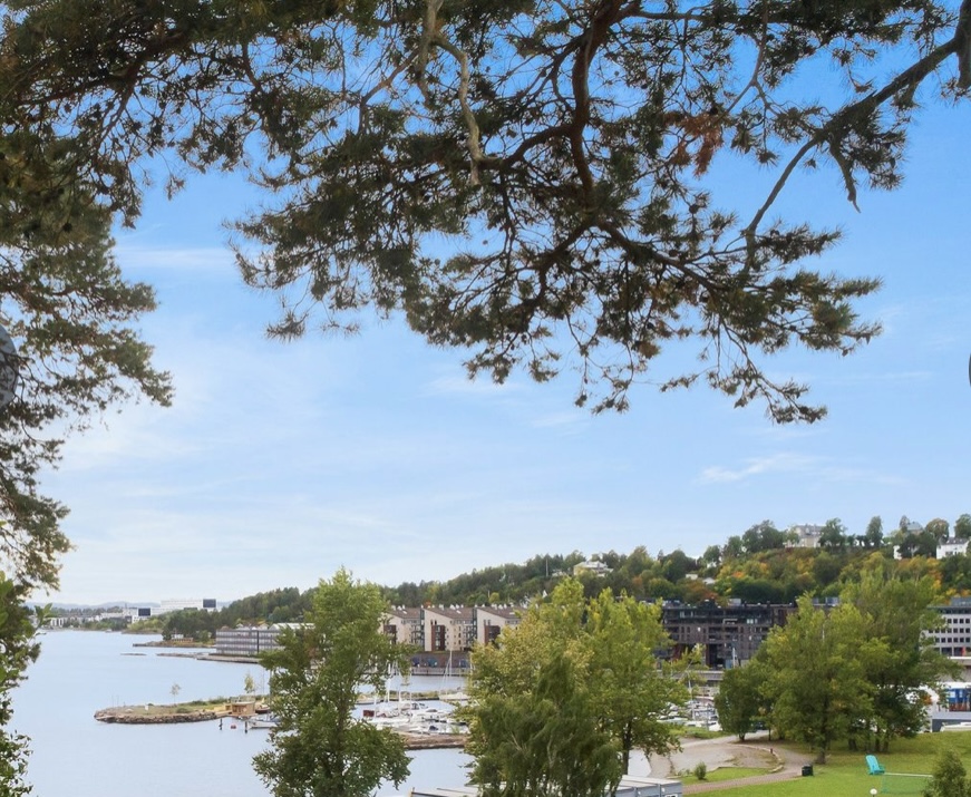 Oslo Fjord- Spacious apartment with outdoor area