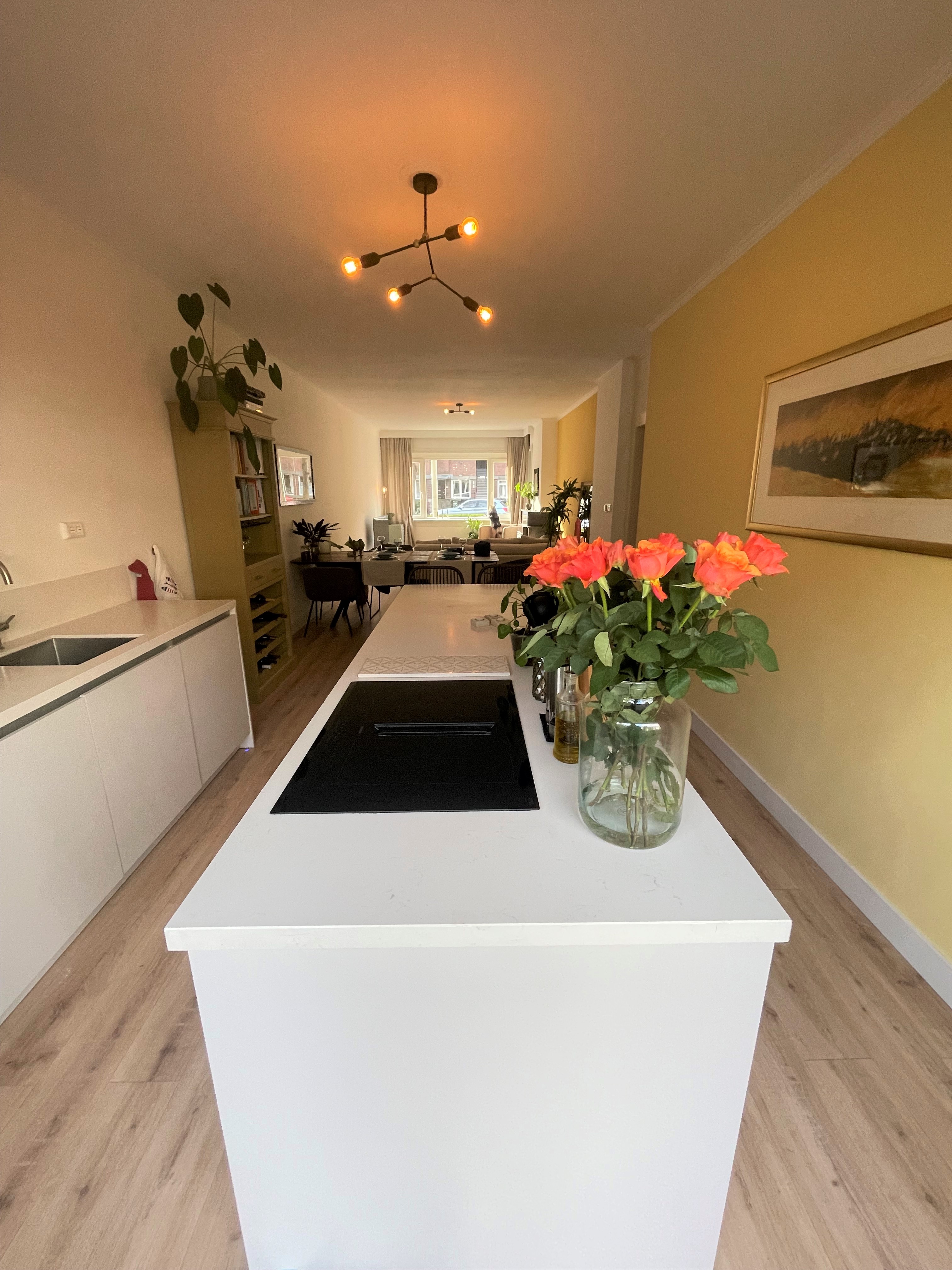 Beautiful apartment with garden. — The Hague stay