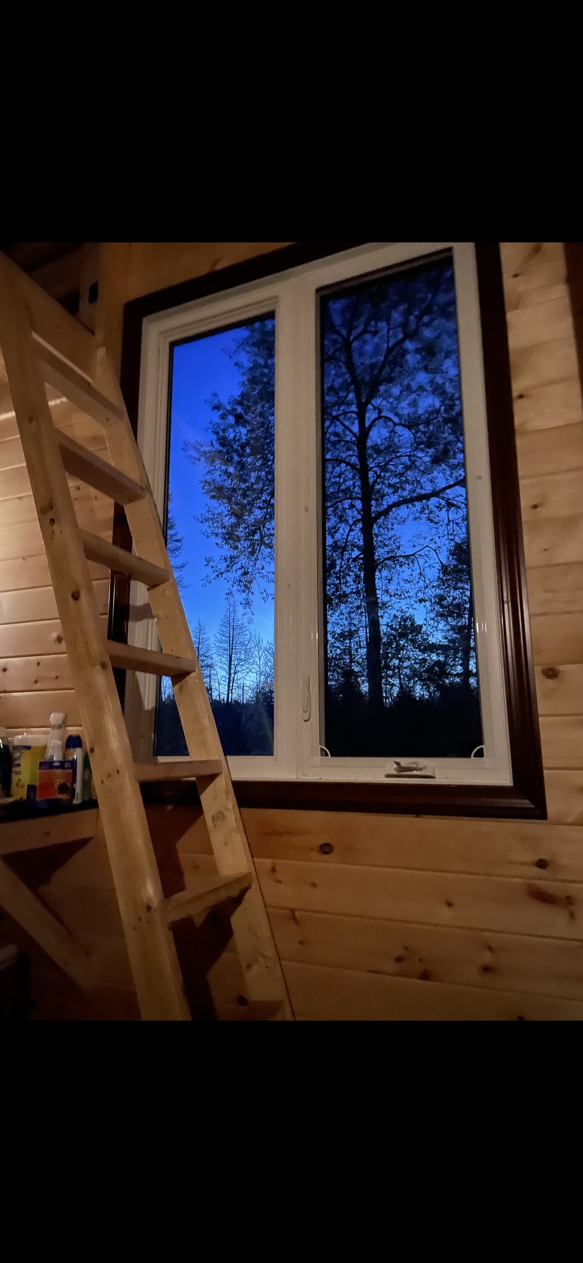 Cozy bunkie in gorgeous North Kawarthas