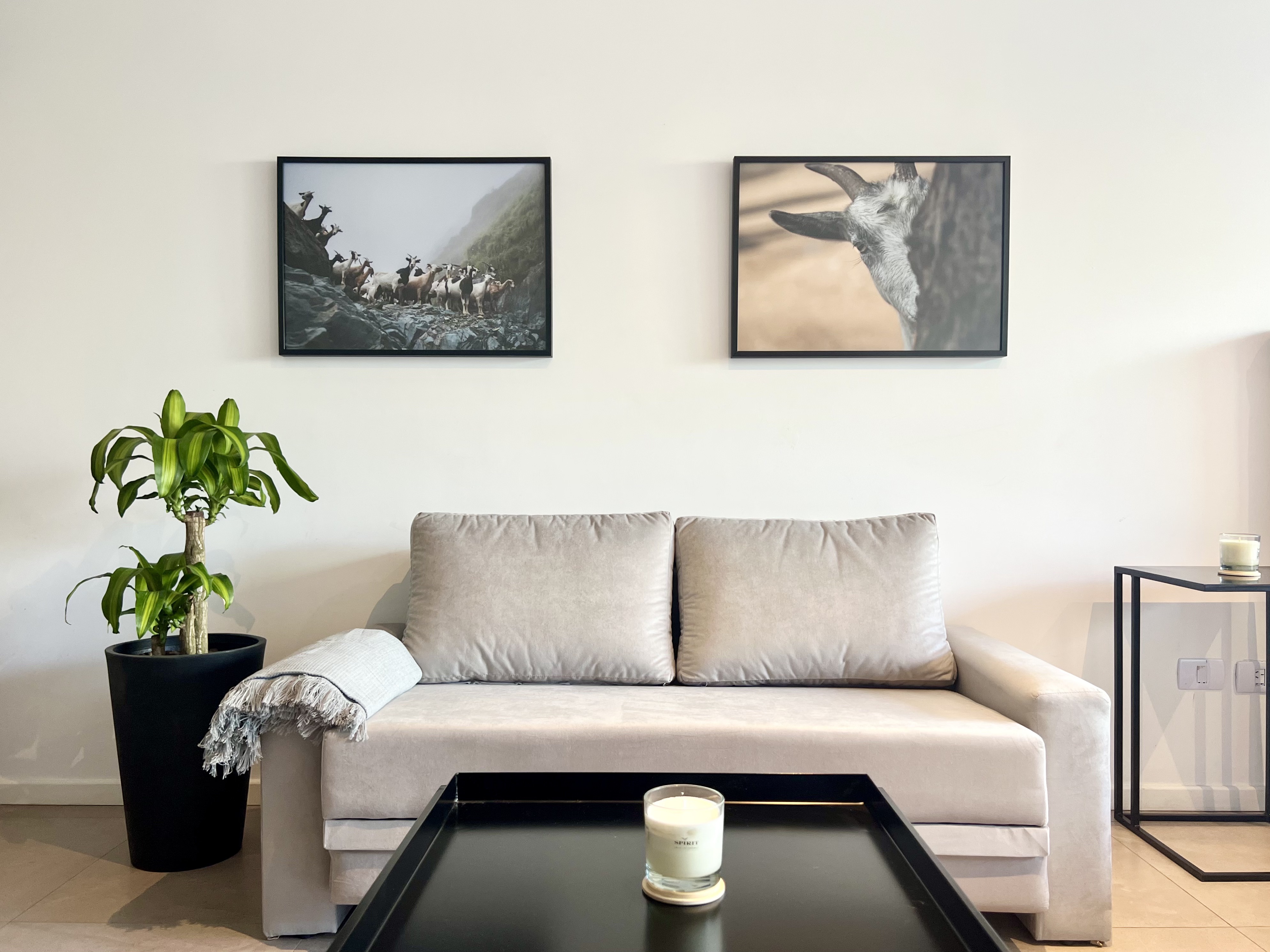 Beautiful & Stylish Studio with terrace