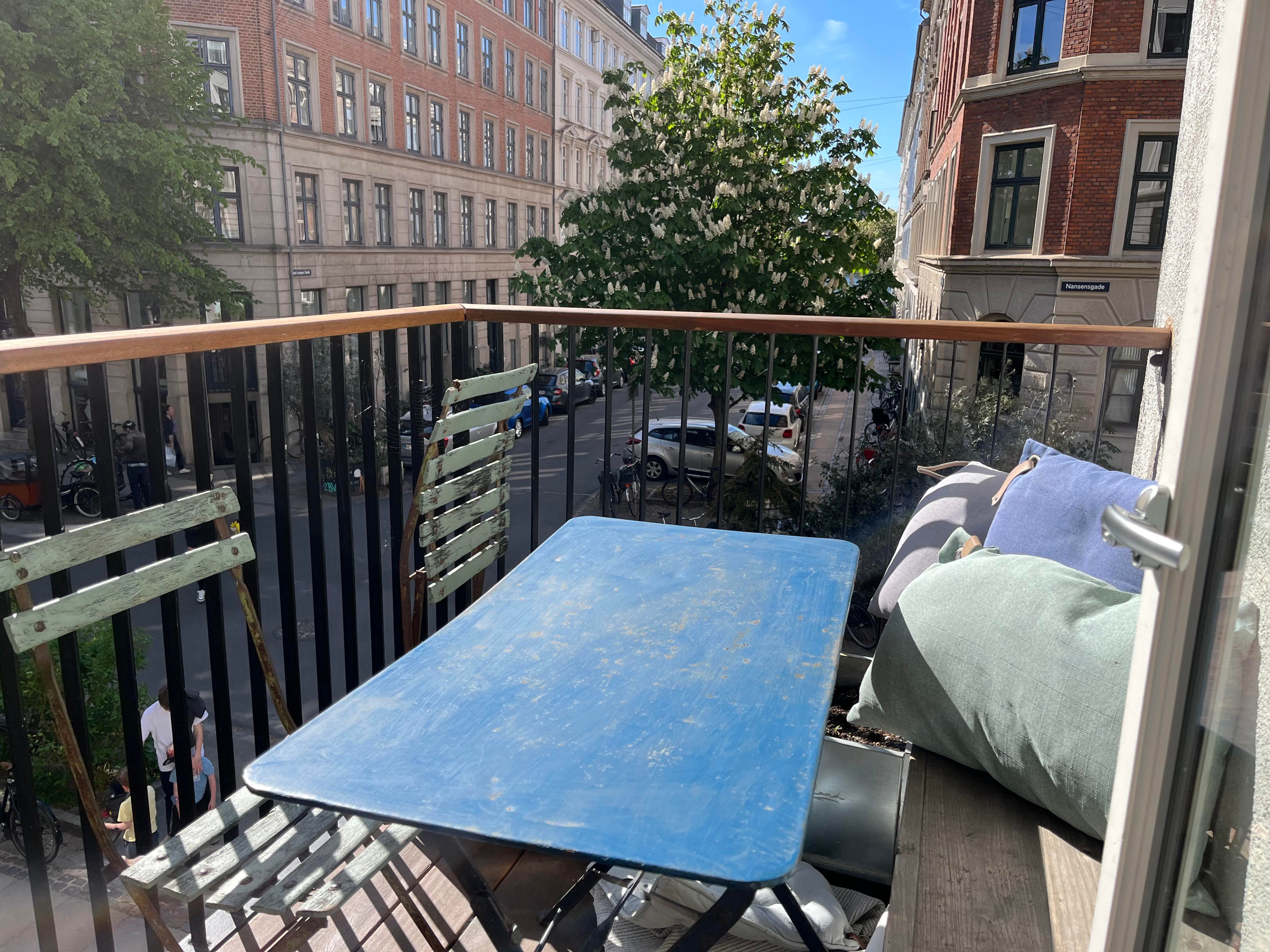 Big apartment in trendy, green Copenhagen street in Indre By, Copenhagen
