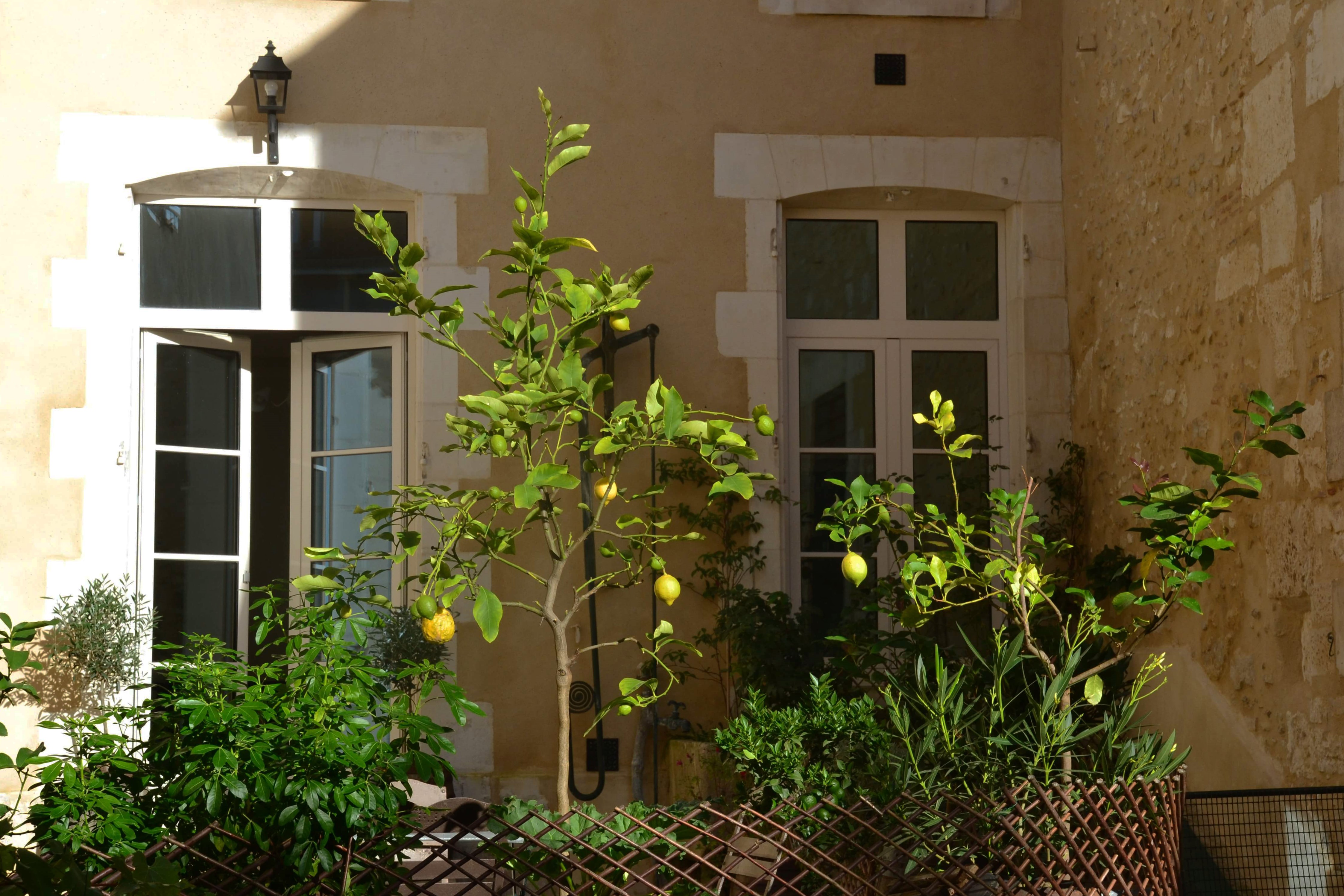 Maison des Pilastres in the heart of Auxerre