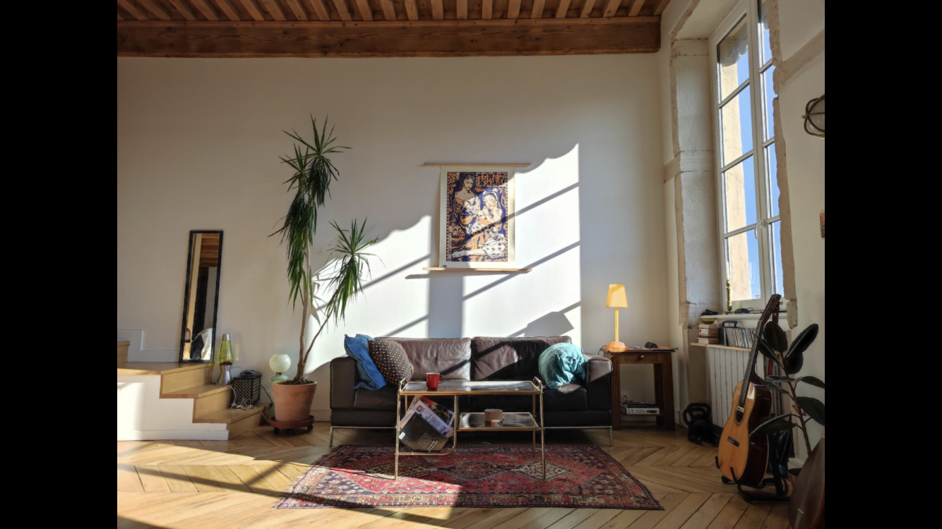 Loft canut et vue imprenable in 1er Arrondissement, Lyon