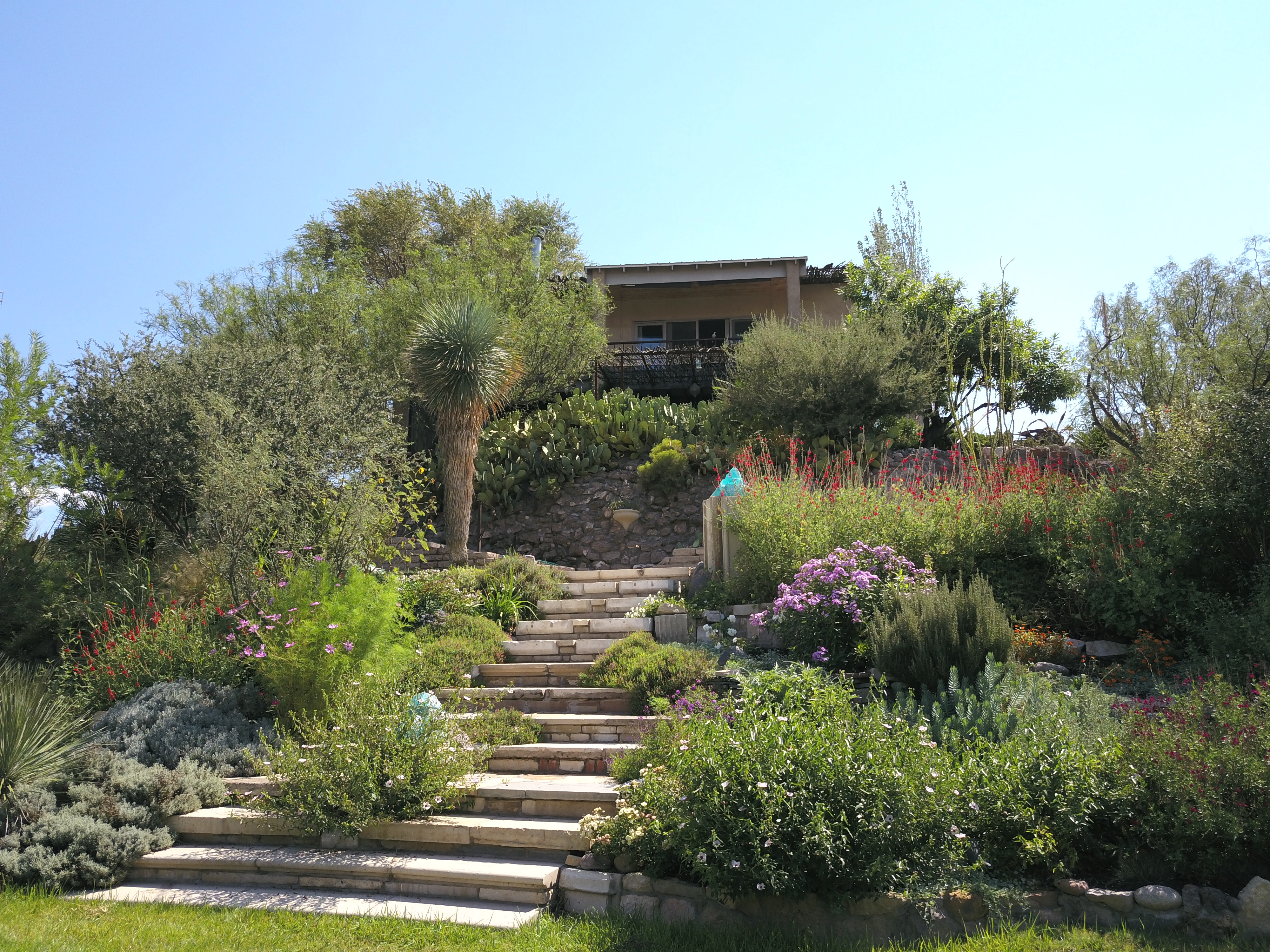 Marfa Hill House