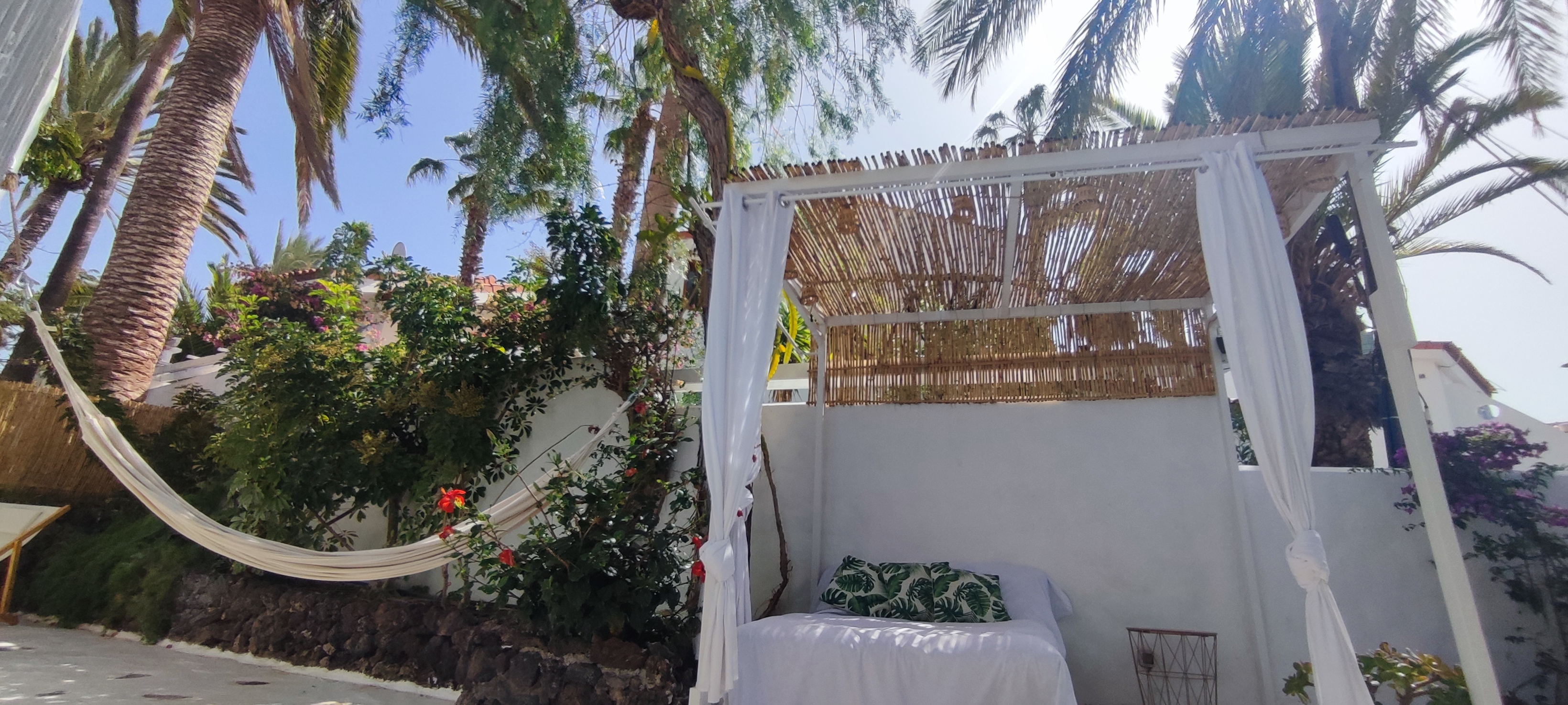 Oasis garden Alegranza