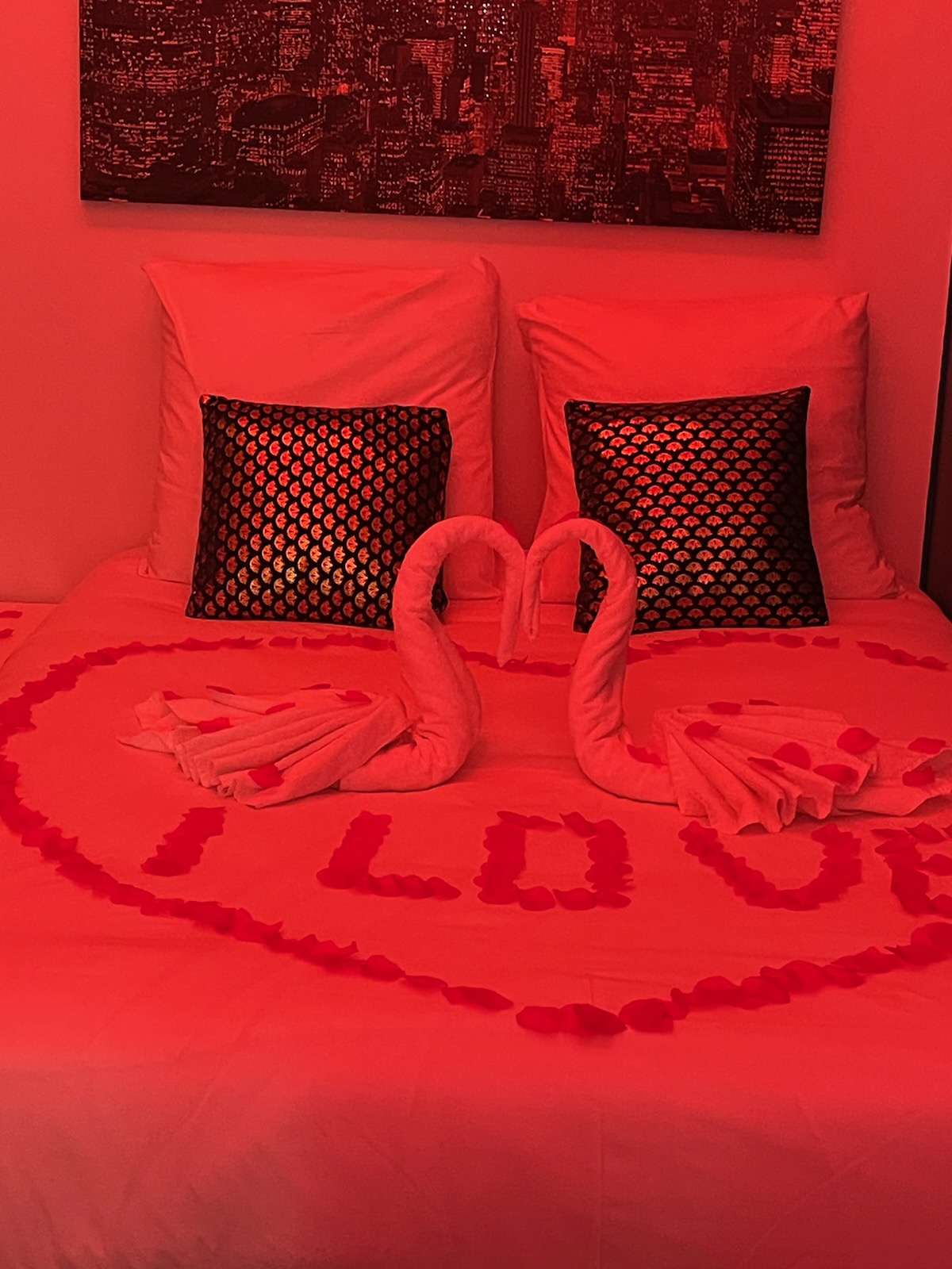 Spa Enzo appartement avec jacuzzi privatif in 3e Arrondissement, Lyon