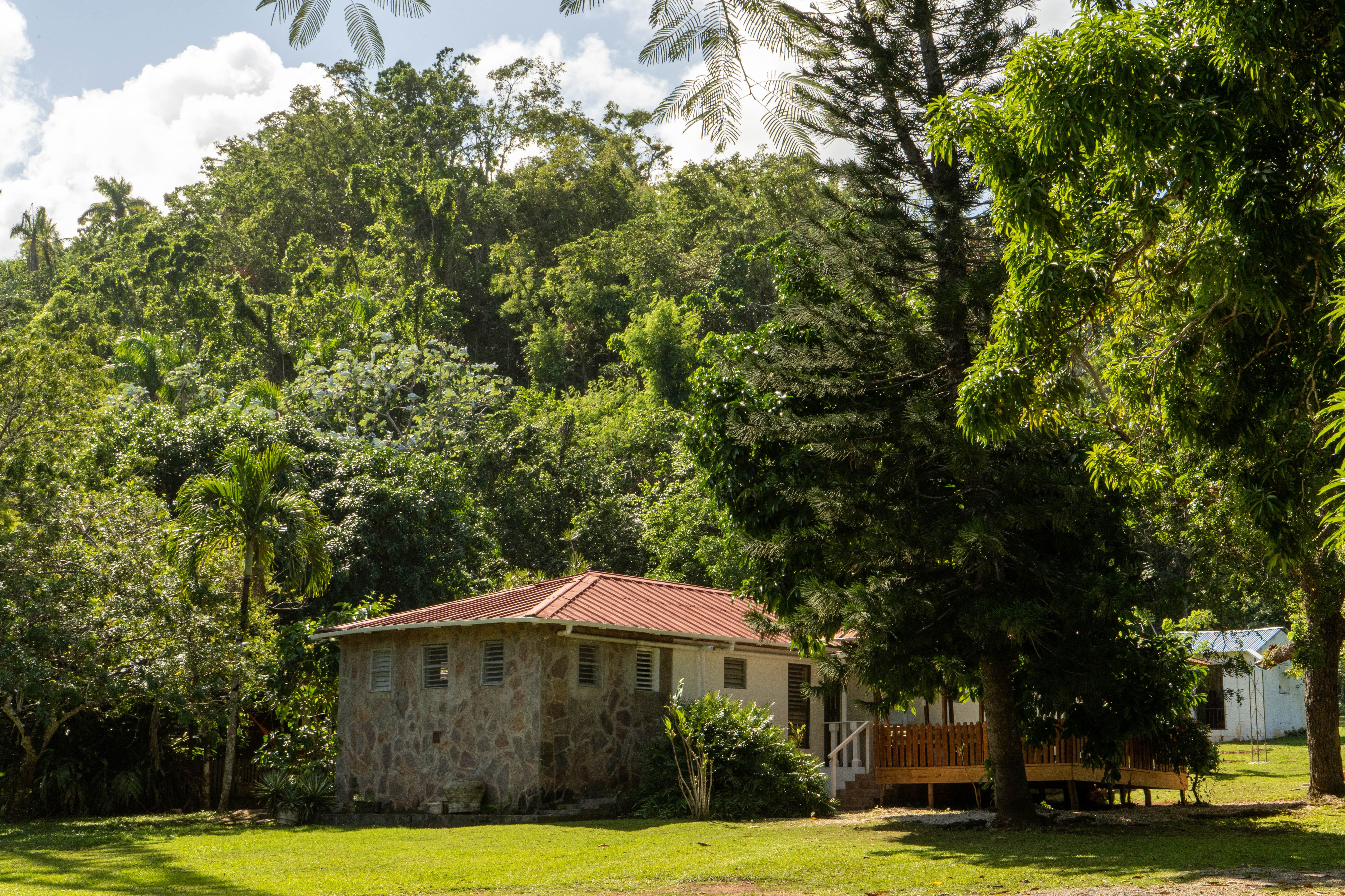Tropical Ecolodge in Beach Haven