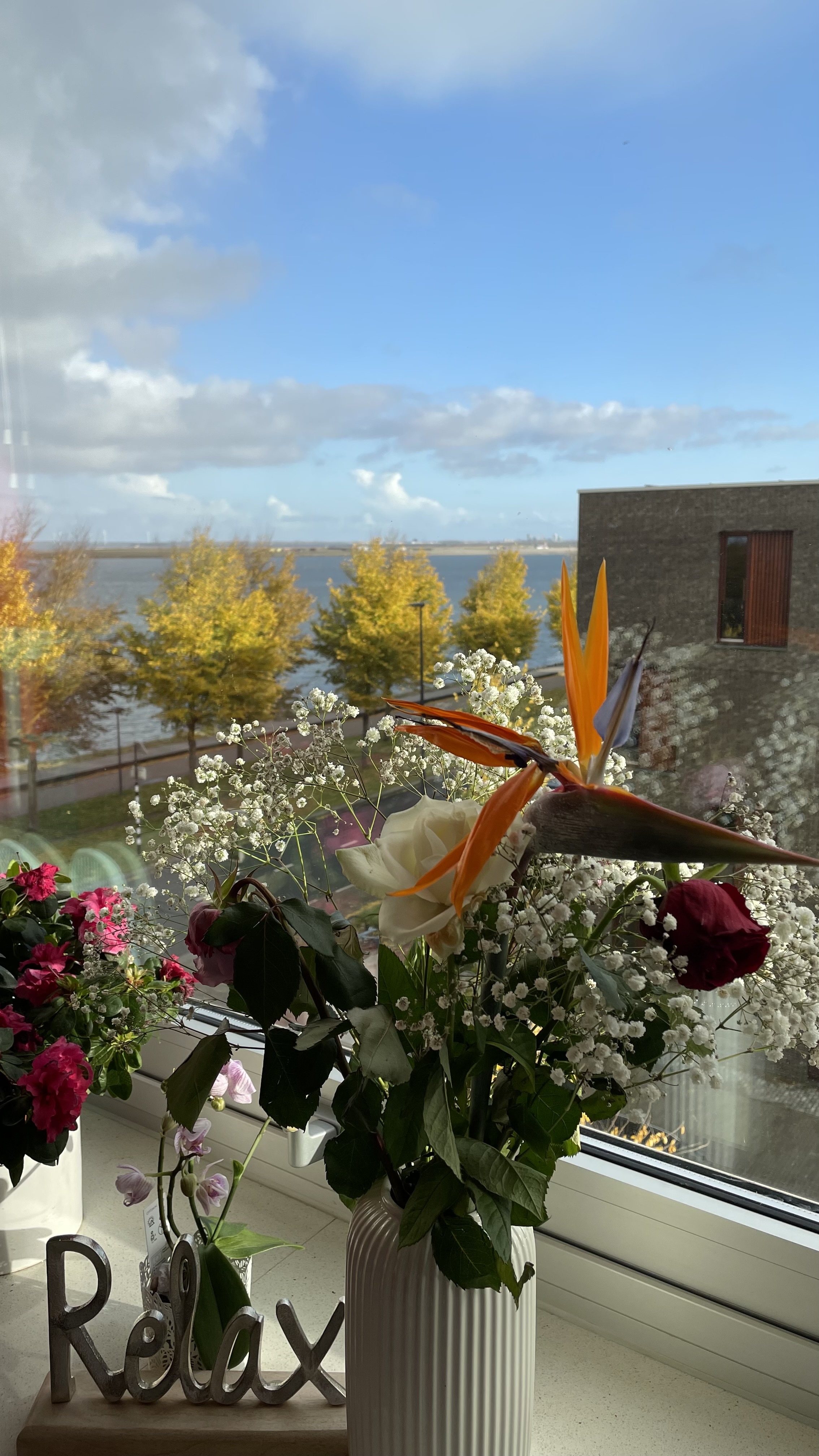 Private Room with sea view! — Amsterdam stay