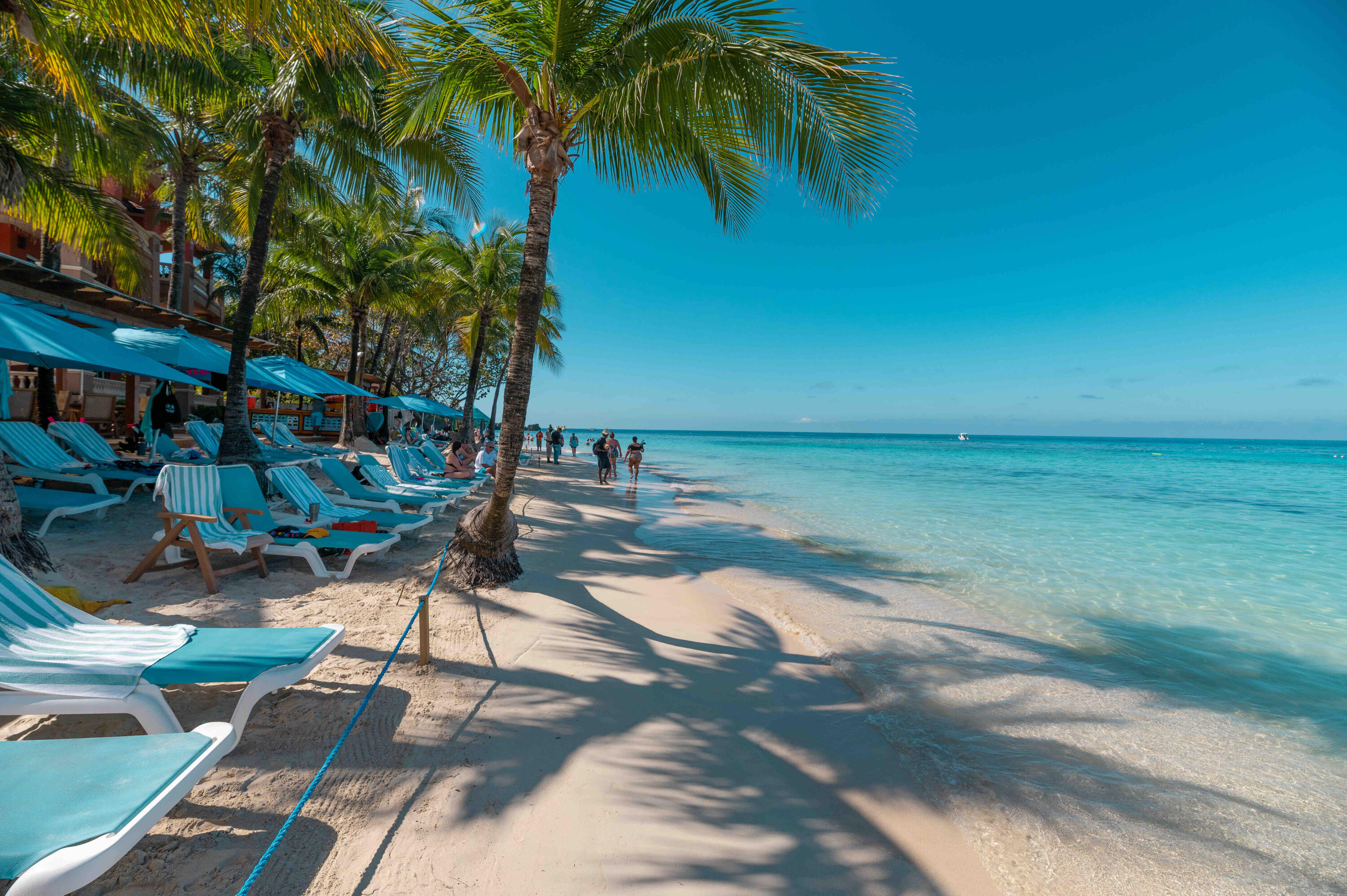 Infinity Bay Spa & Beach Resort - No resort fees!