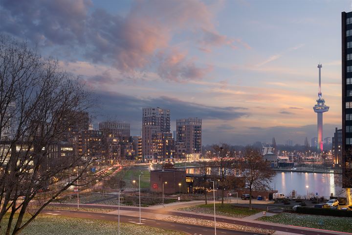 Classy appartement rotterdam — Rotterdam stay