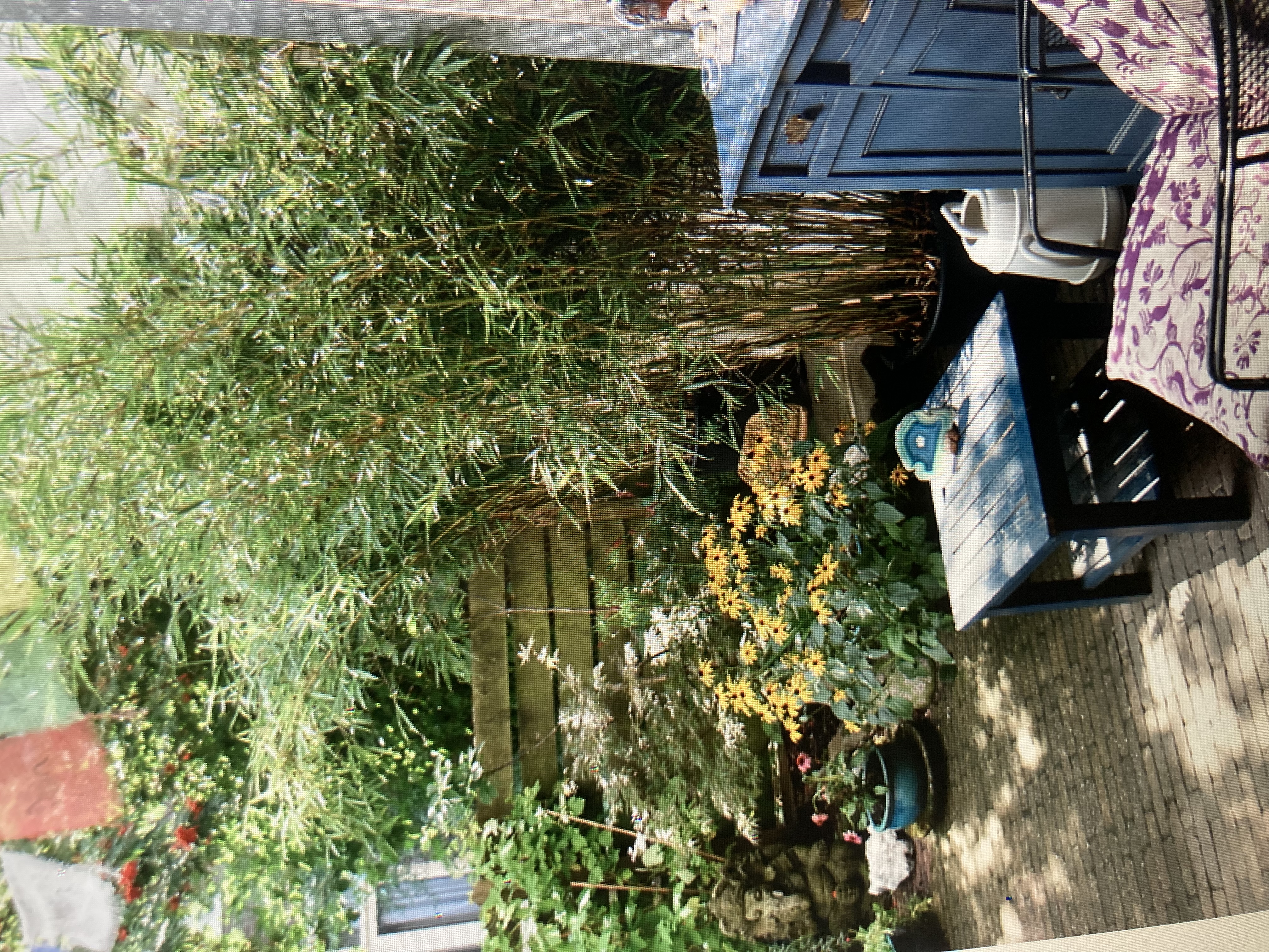 Lovely gem in the Jordaan — Amsterdam stay