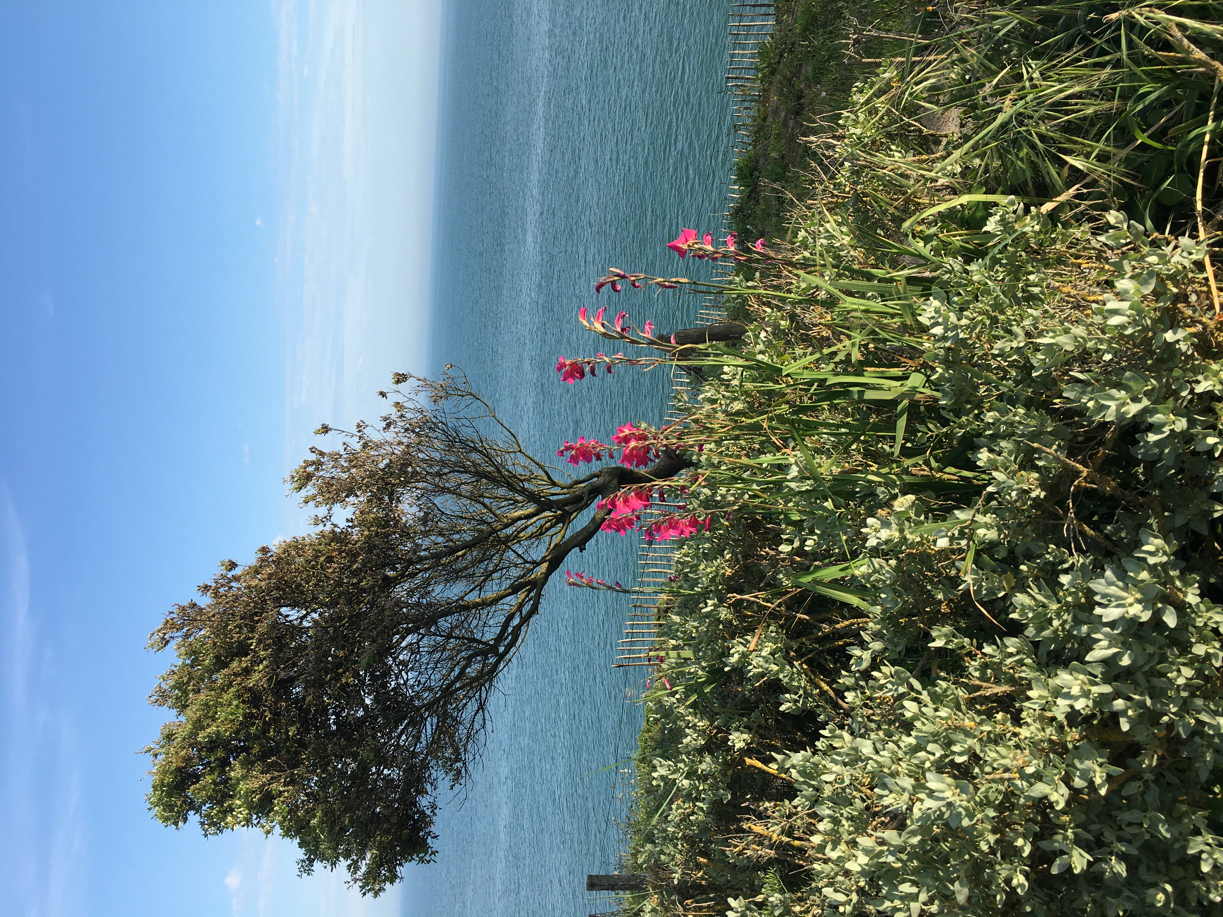 Le Cocon Préfaillais