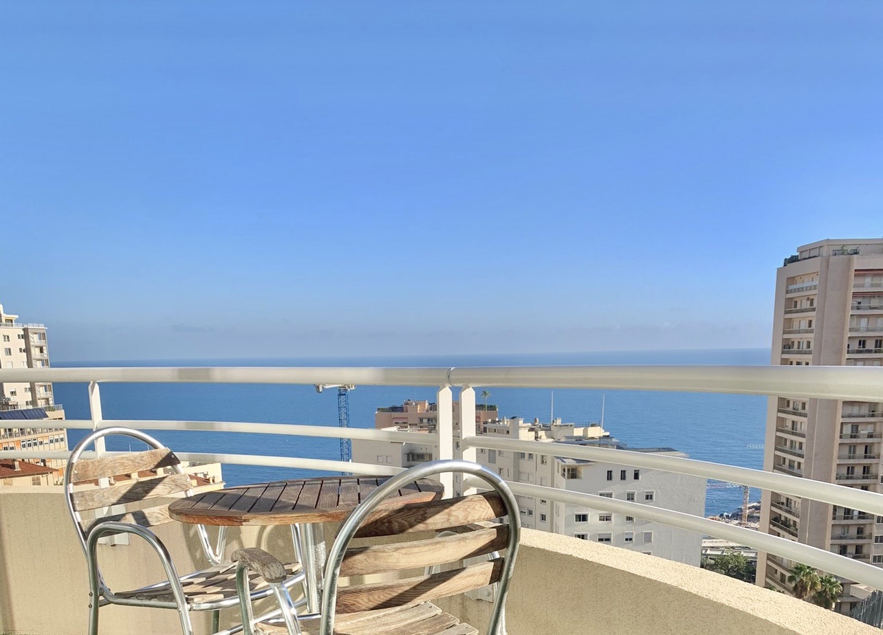 • GREAT 𝒮ℯ𝒶𝓋𝒾ℯ𝓌 1br •MC/Beausoleil• Grimaldi Forum