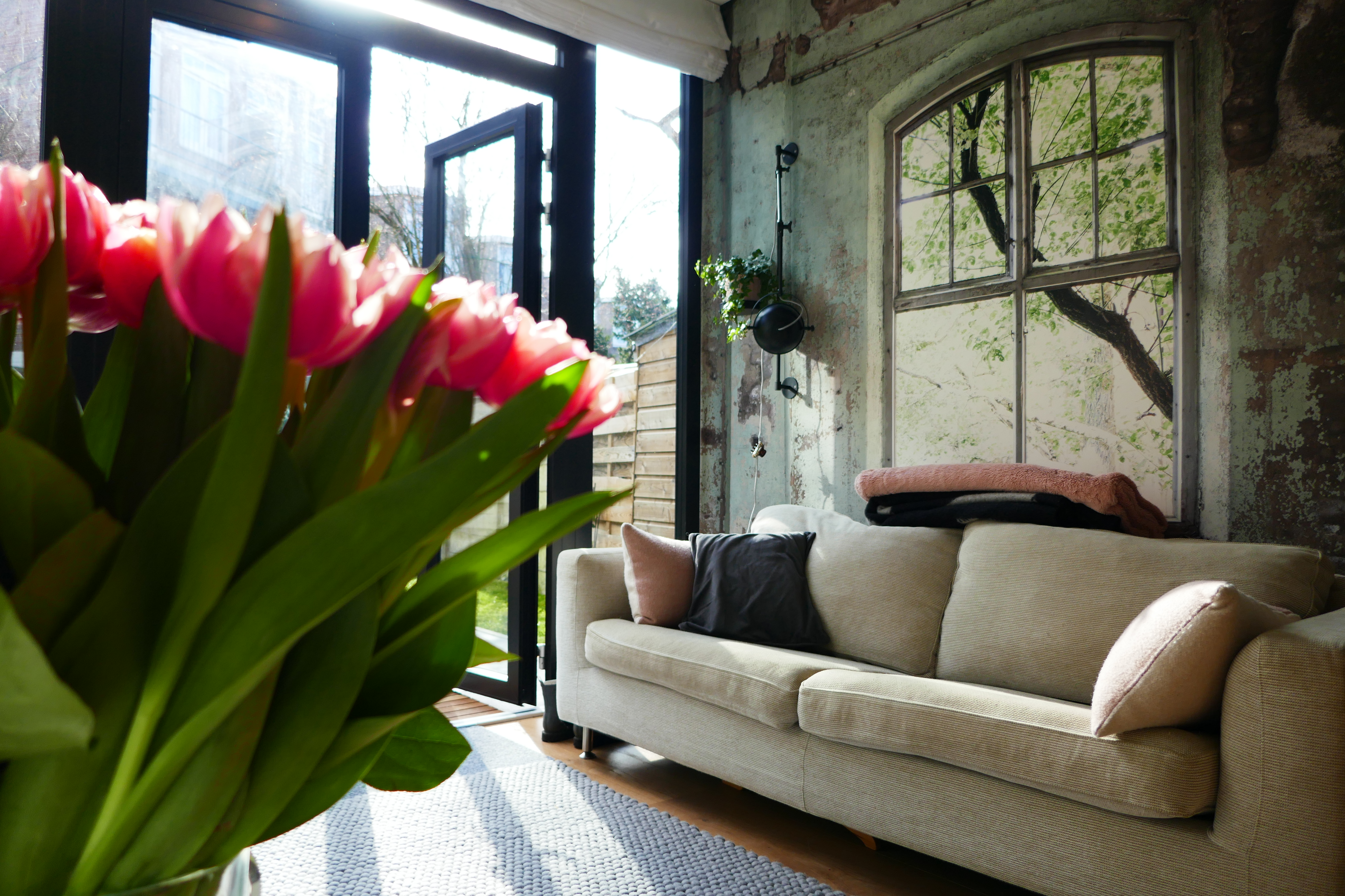 Zonnig huisje — The Hague stay