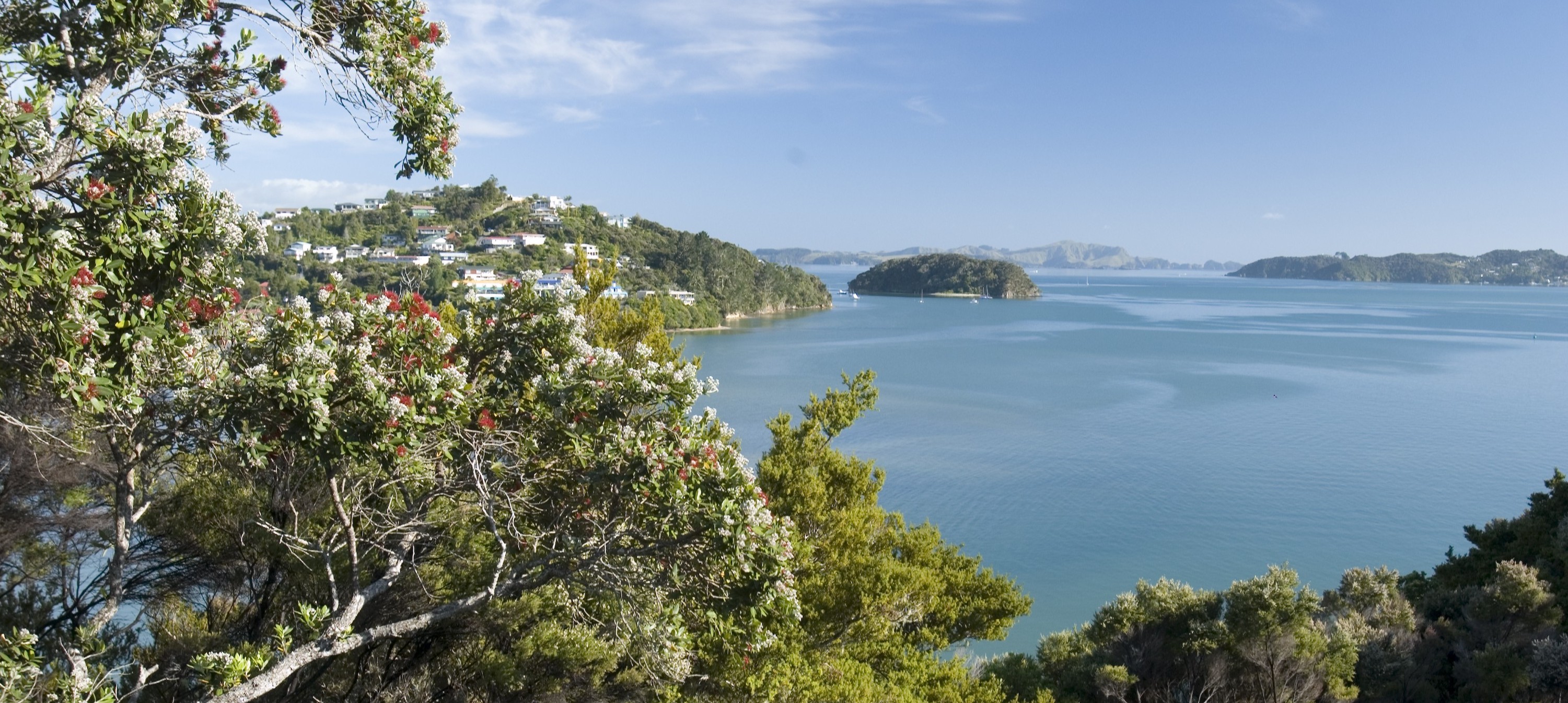 Retreat Bay of Islands- Retro
