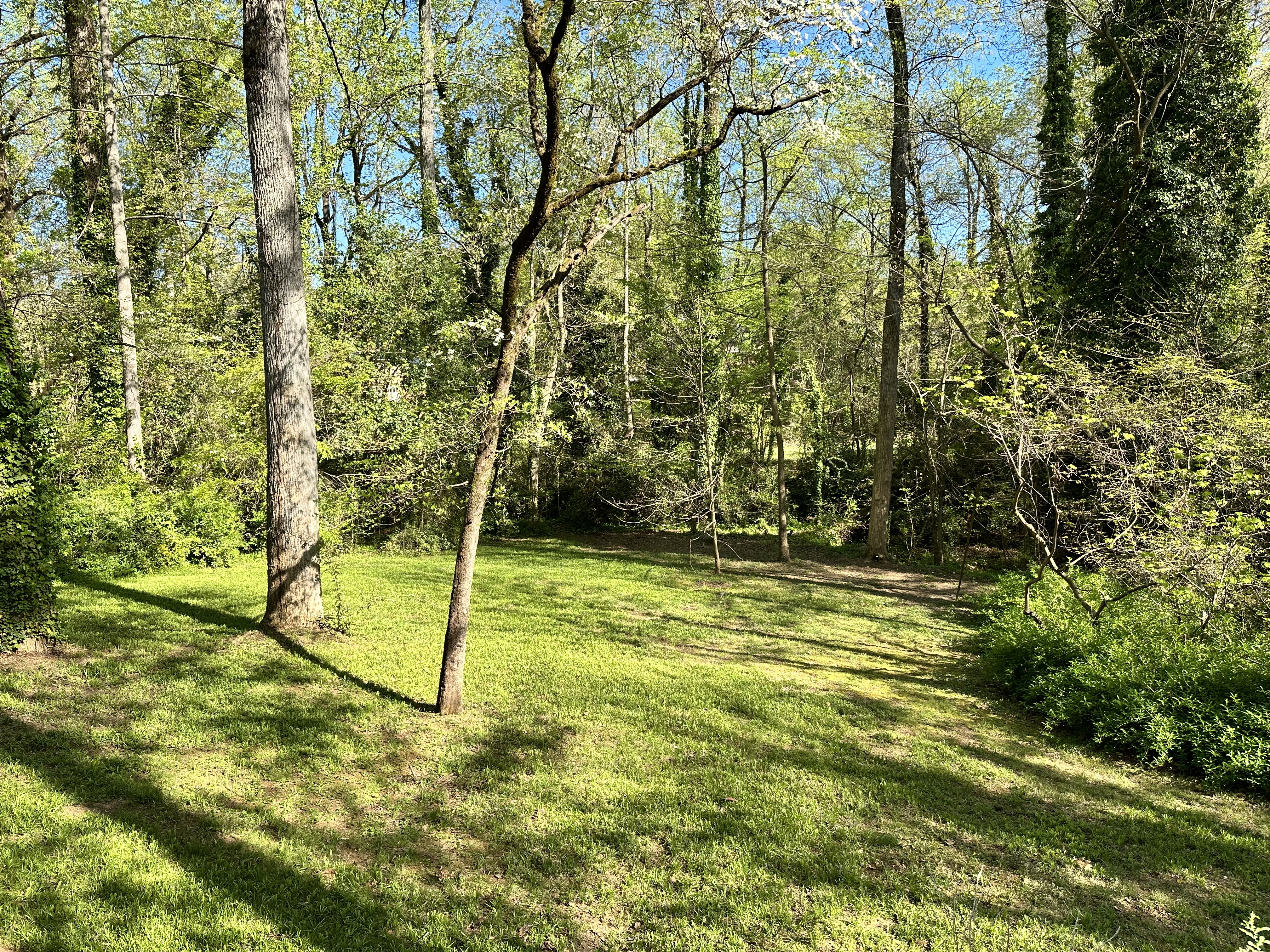 Tranquil 1-Bed Apt. Private