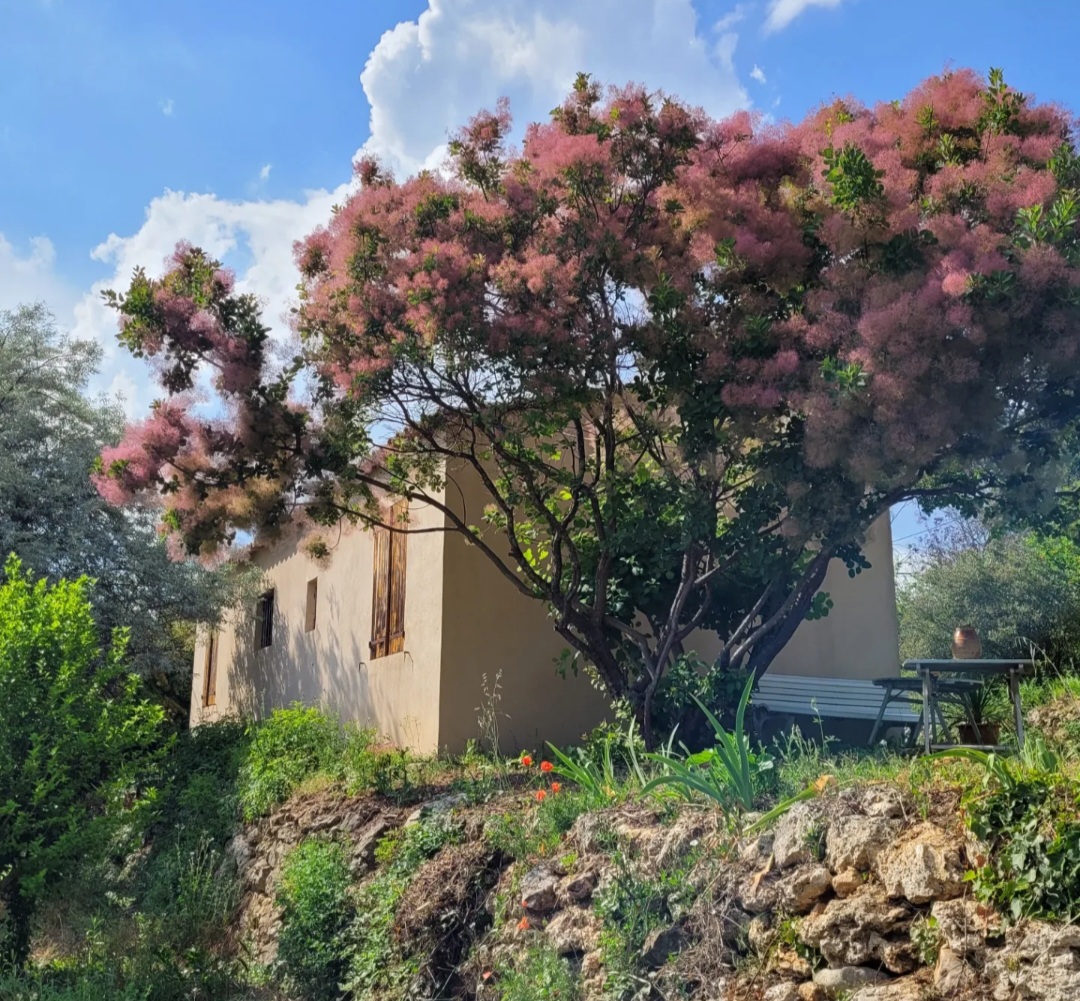 Assinie II : House in Provence Verte