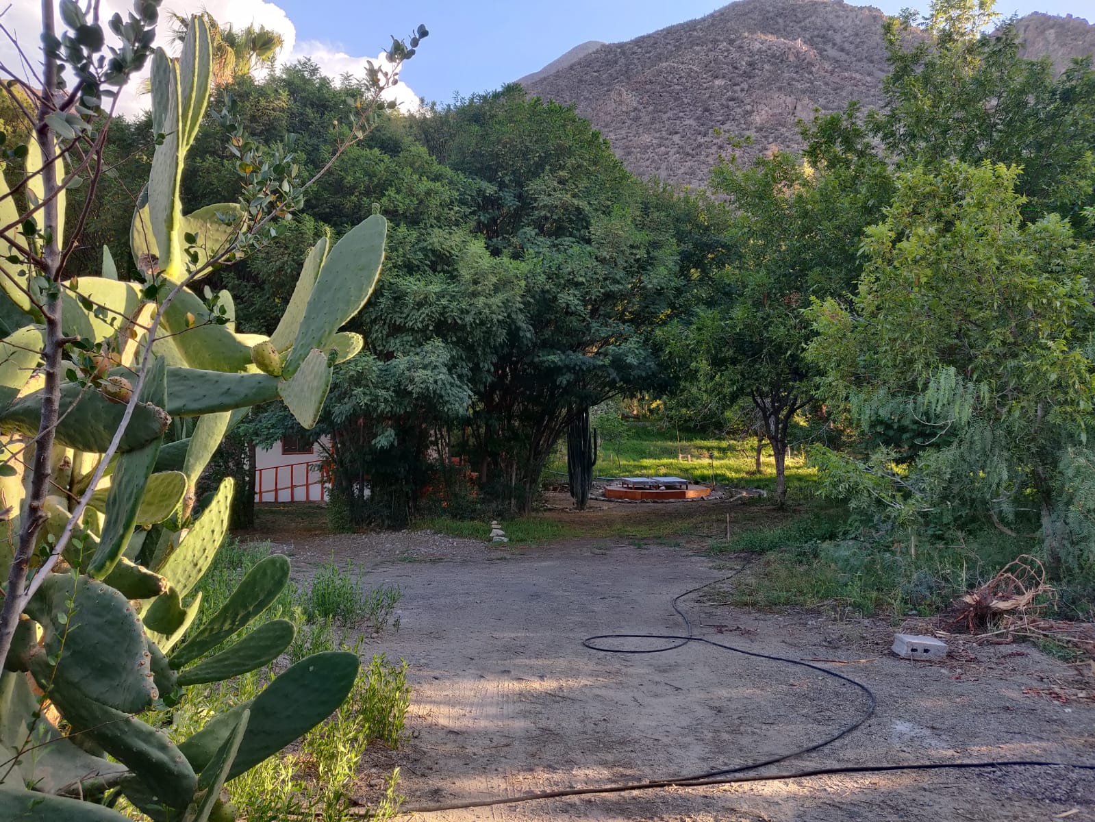 Elqui Valley Blue,Hot Tub,Reposeras