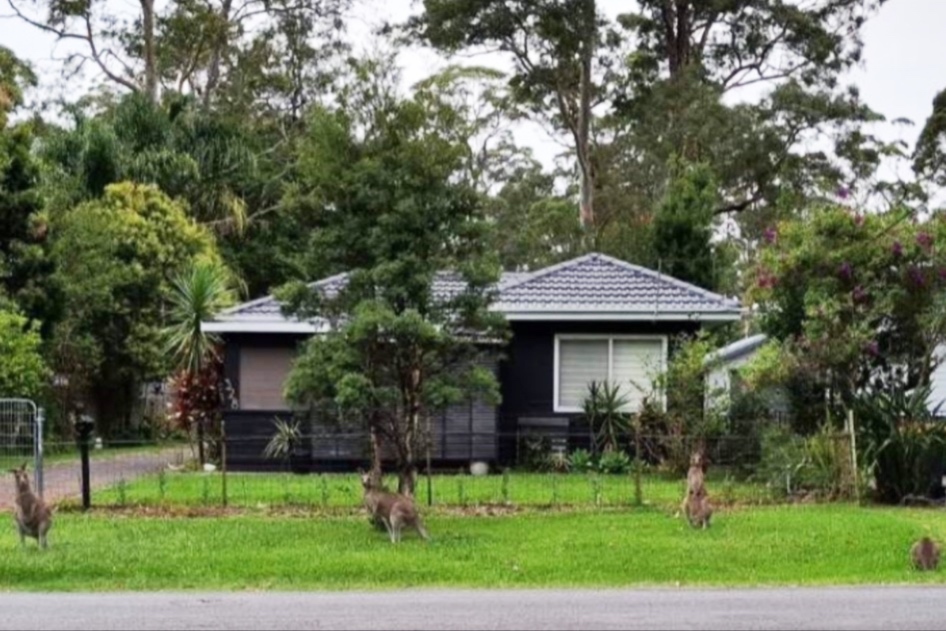 Tiny Black Shack - Tranquil Location