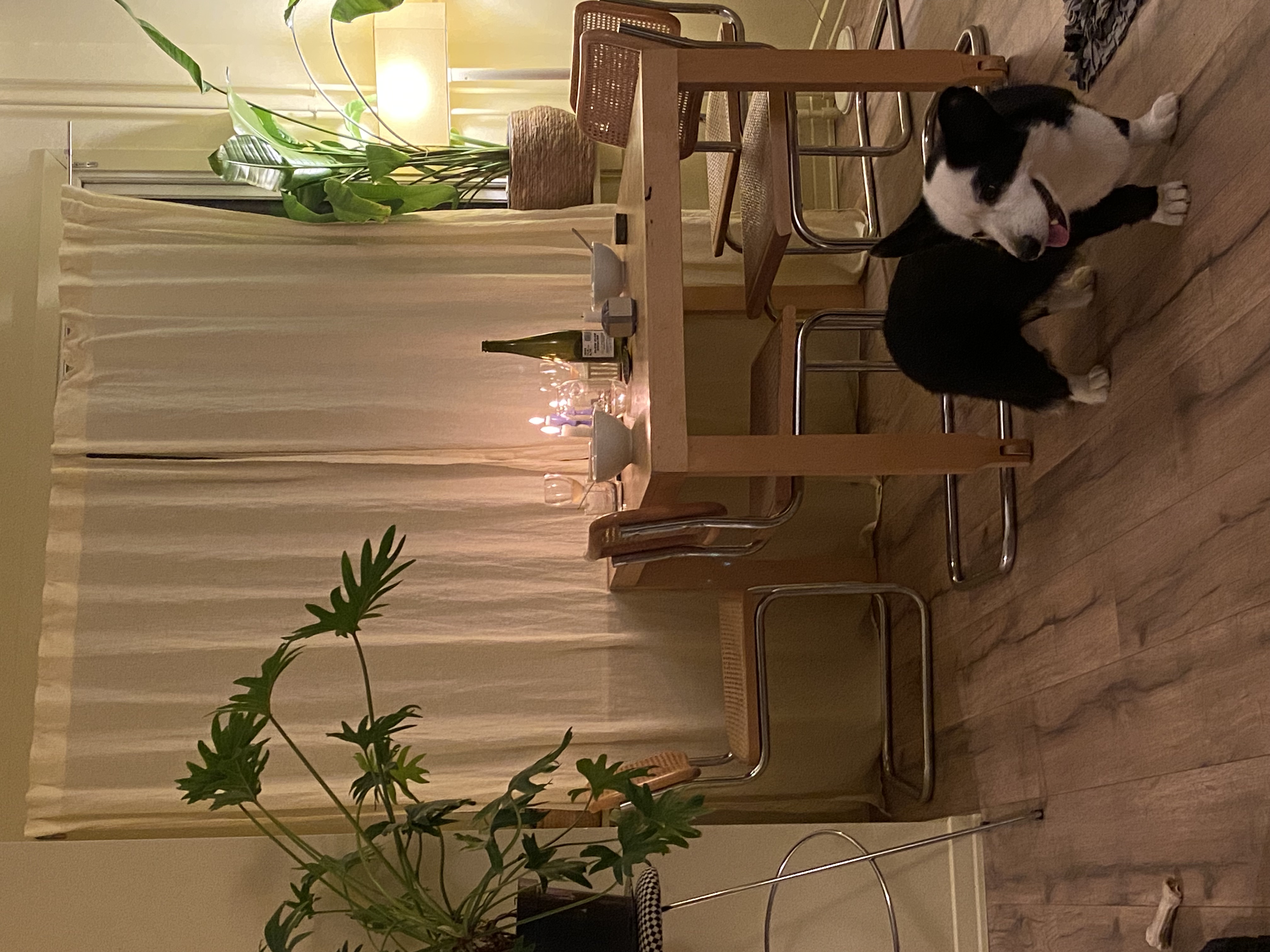 Sentralt og rolig rom — rentals in St. Hanshaugen, Oslo