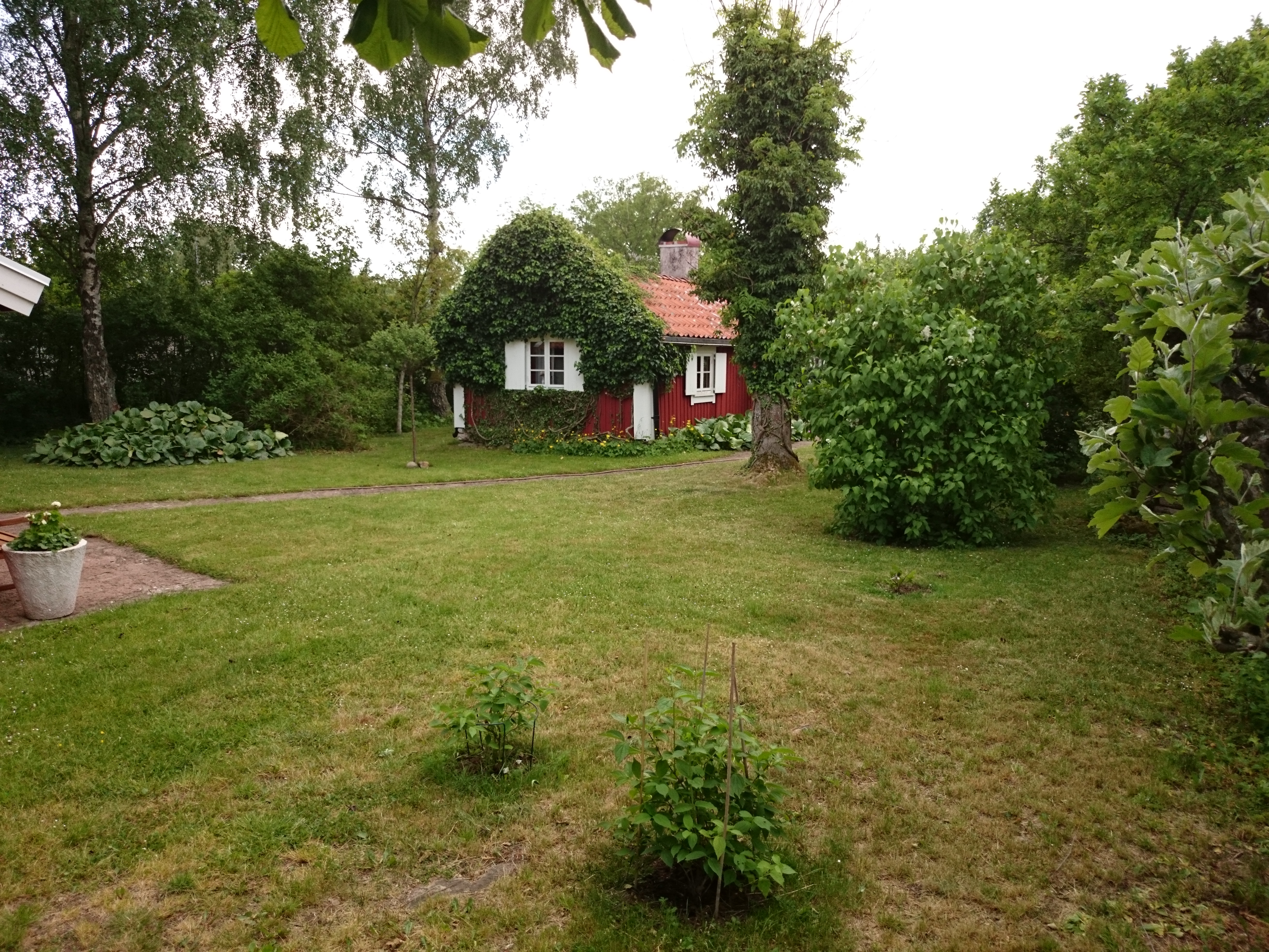 Svensk idyll Arontorp WIFI